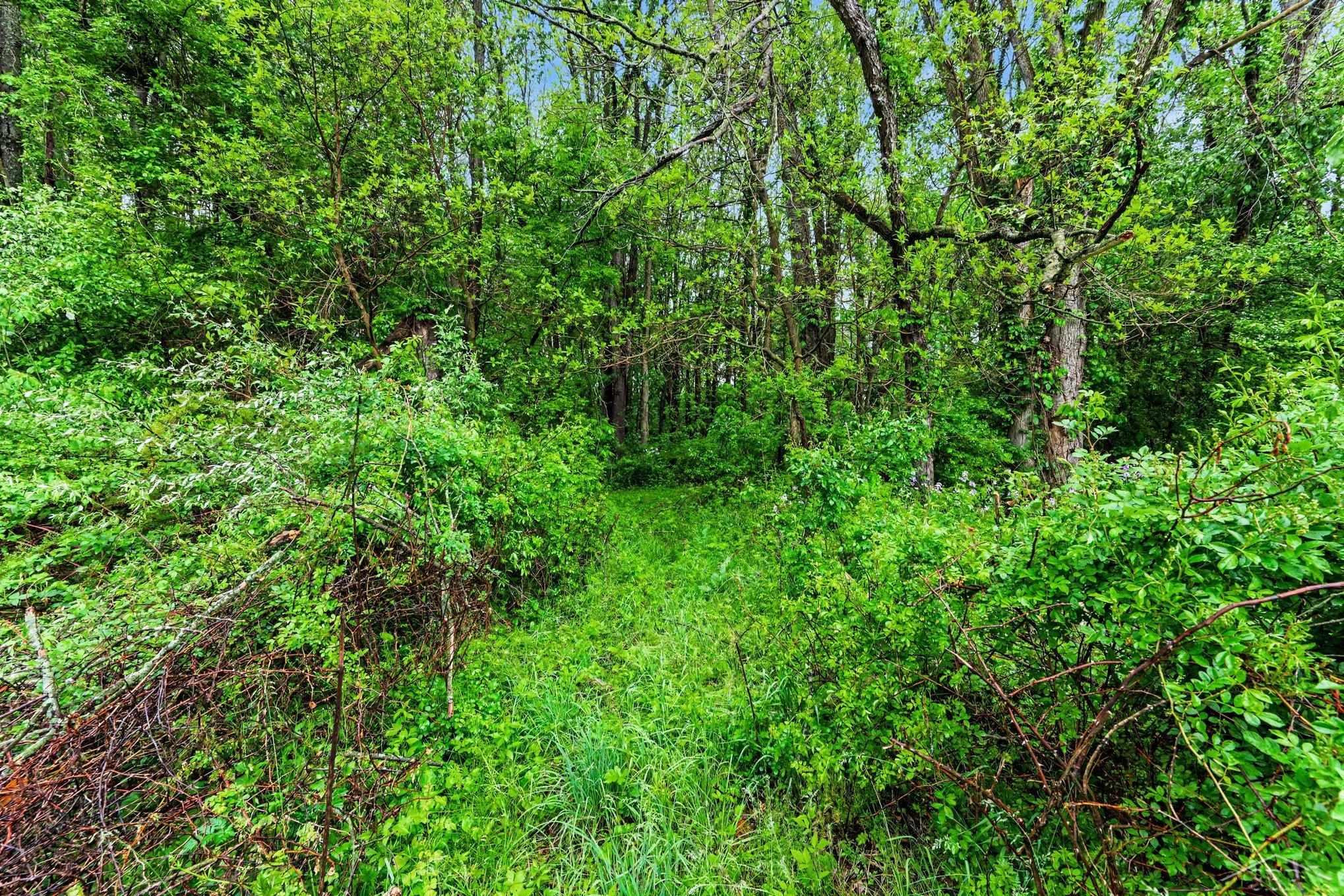 4188 S K Drive, East Leroy, MI 49051 — Photo 22