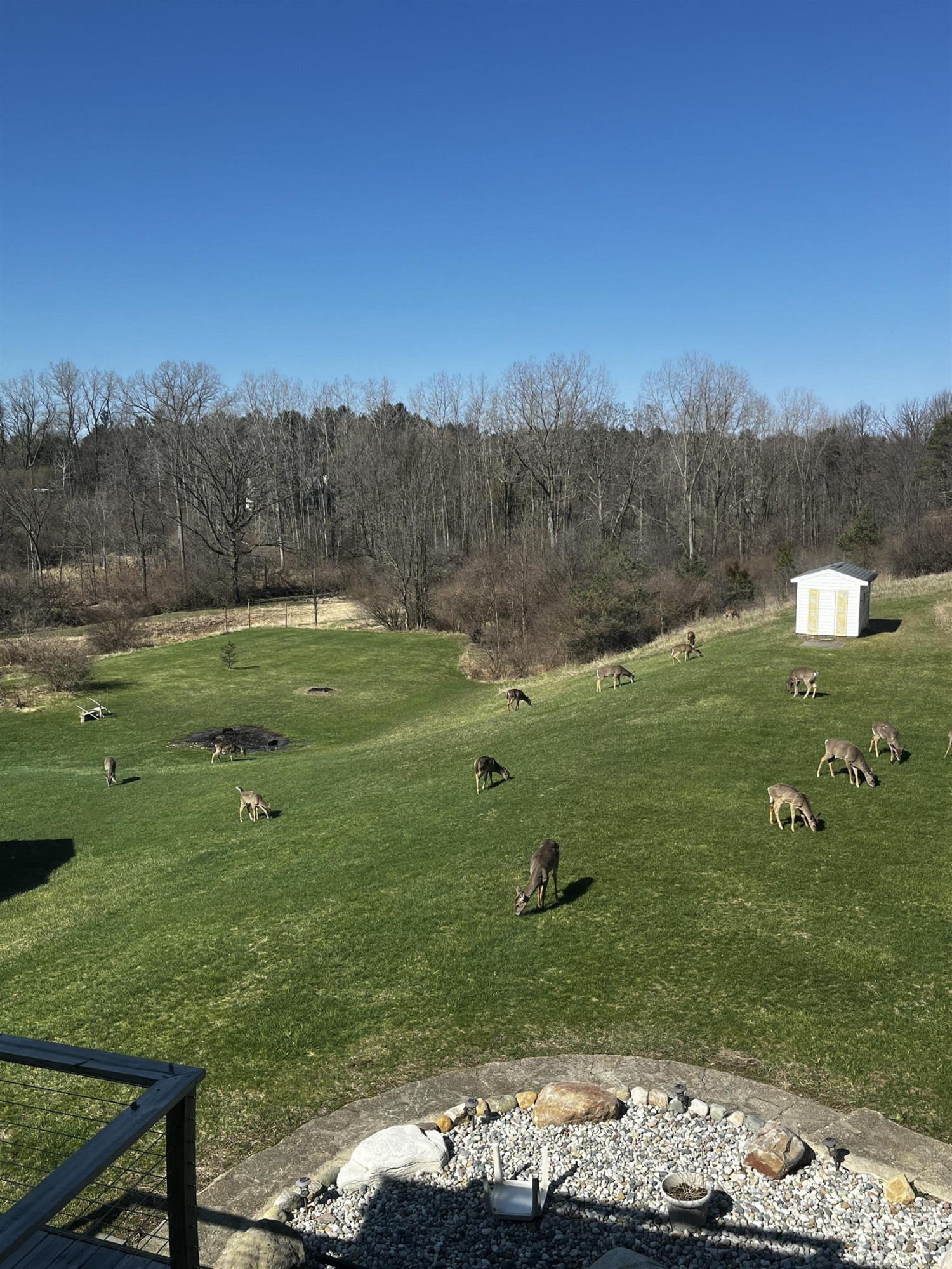 10164 Gale Road, MI — Photo 18