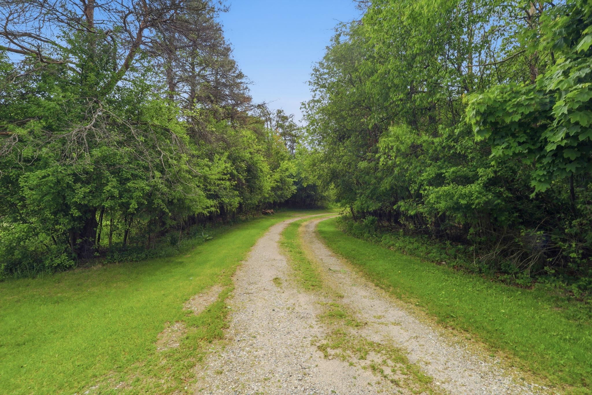 10164 Gale Road, MI — Photo 35