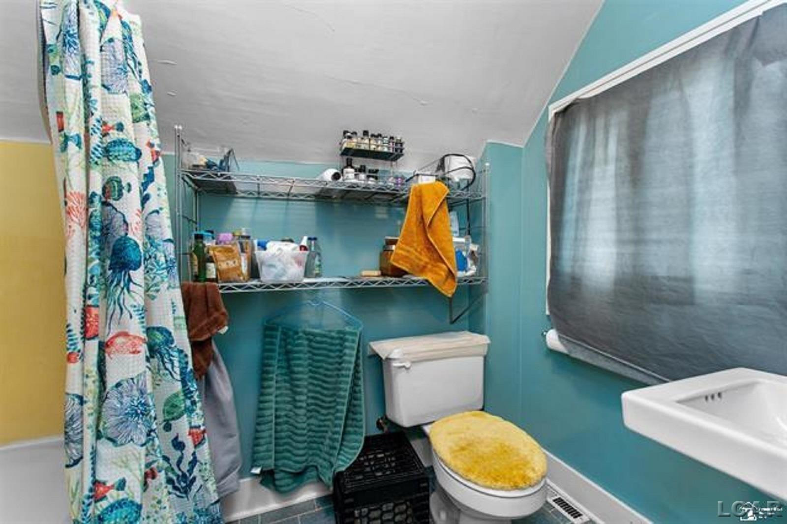 224 Cherry Street, Blissfield, MI 49228 — Photo 19