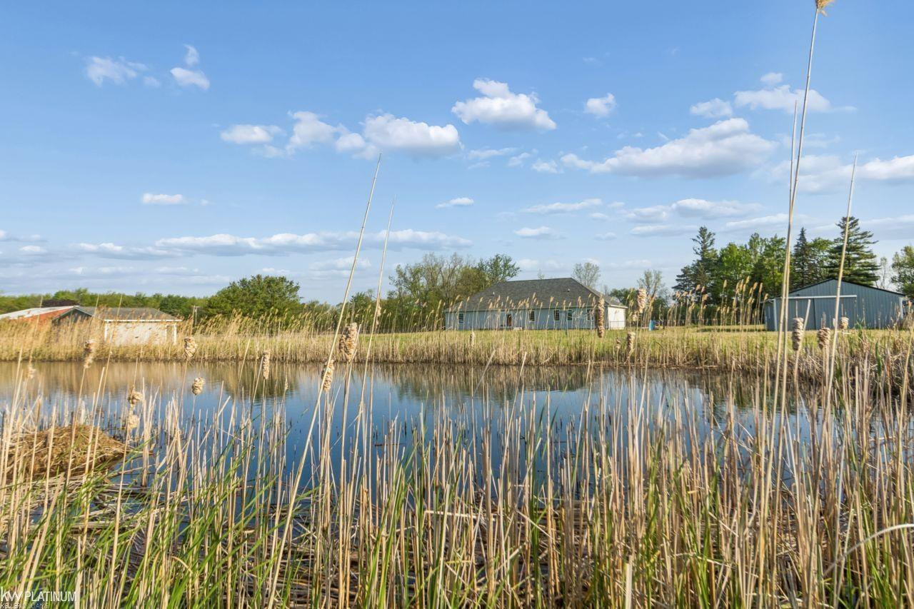 13201 Speaker Road, Yale, MI 48097 — Photo 16