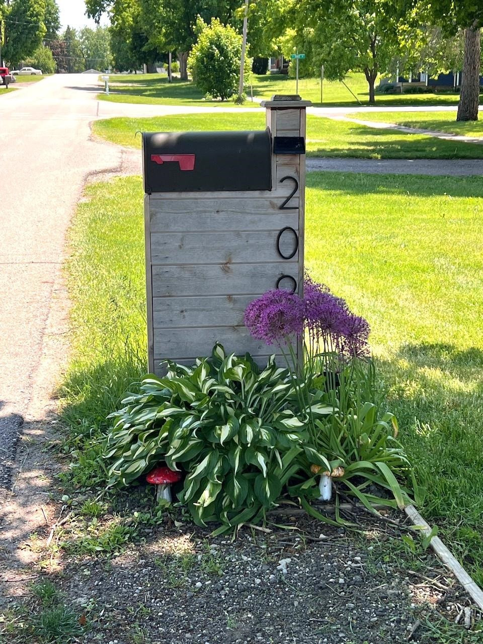 209 Main Street, Morrice, MI 48857 — Photo 22