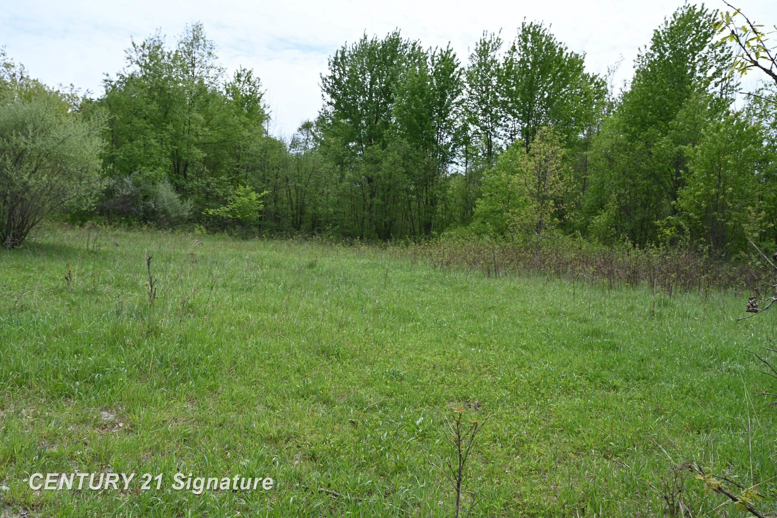 150 E Winegars Road, Gladwin, MI 48624 — Photo 59