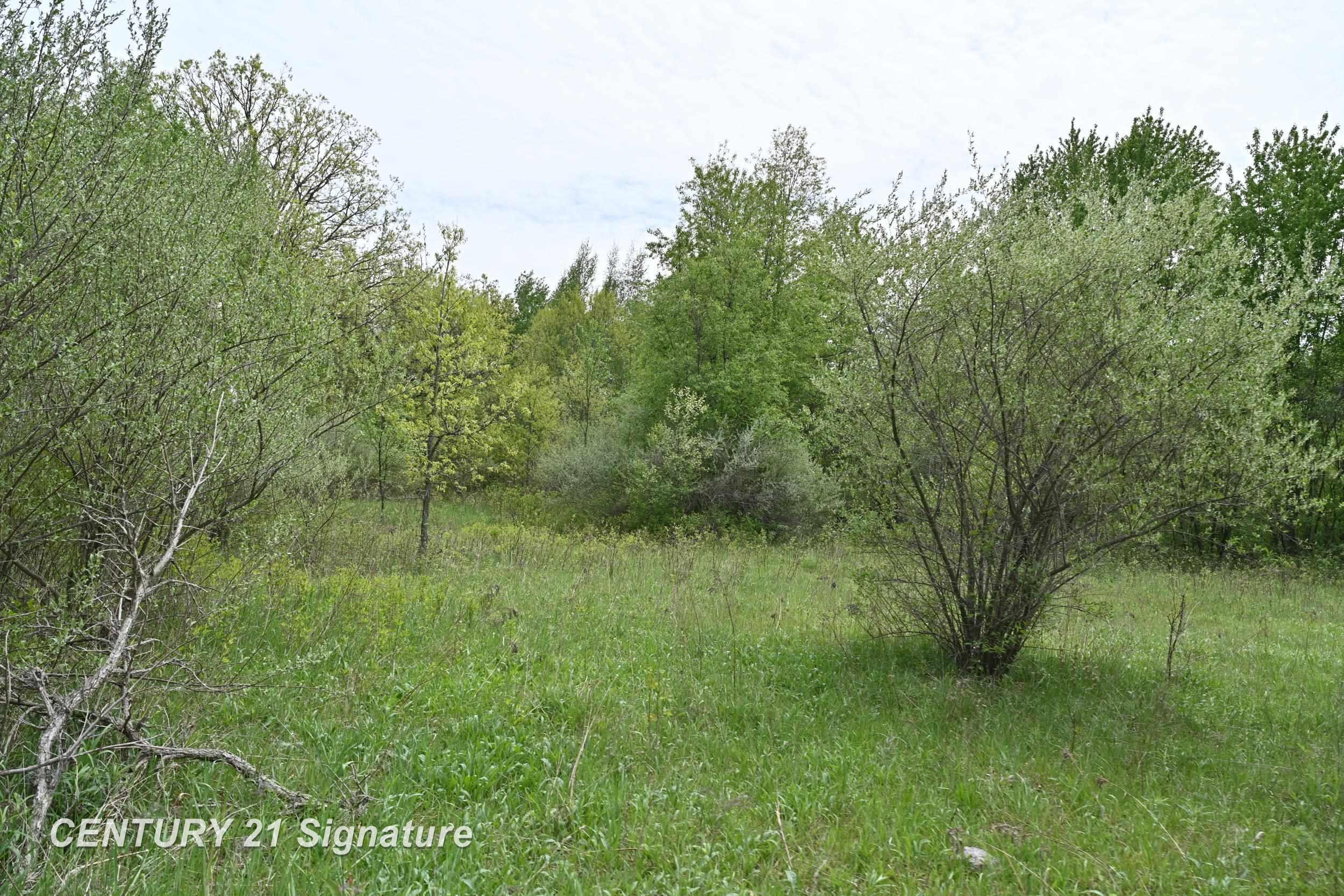 150 E Winegars Road, Gladwin, MI 48624 — Photo 61
