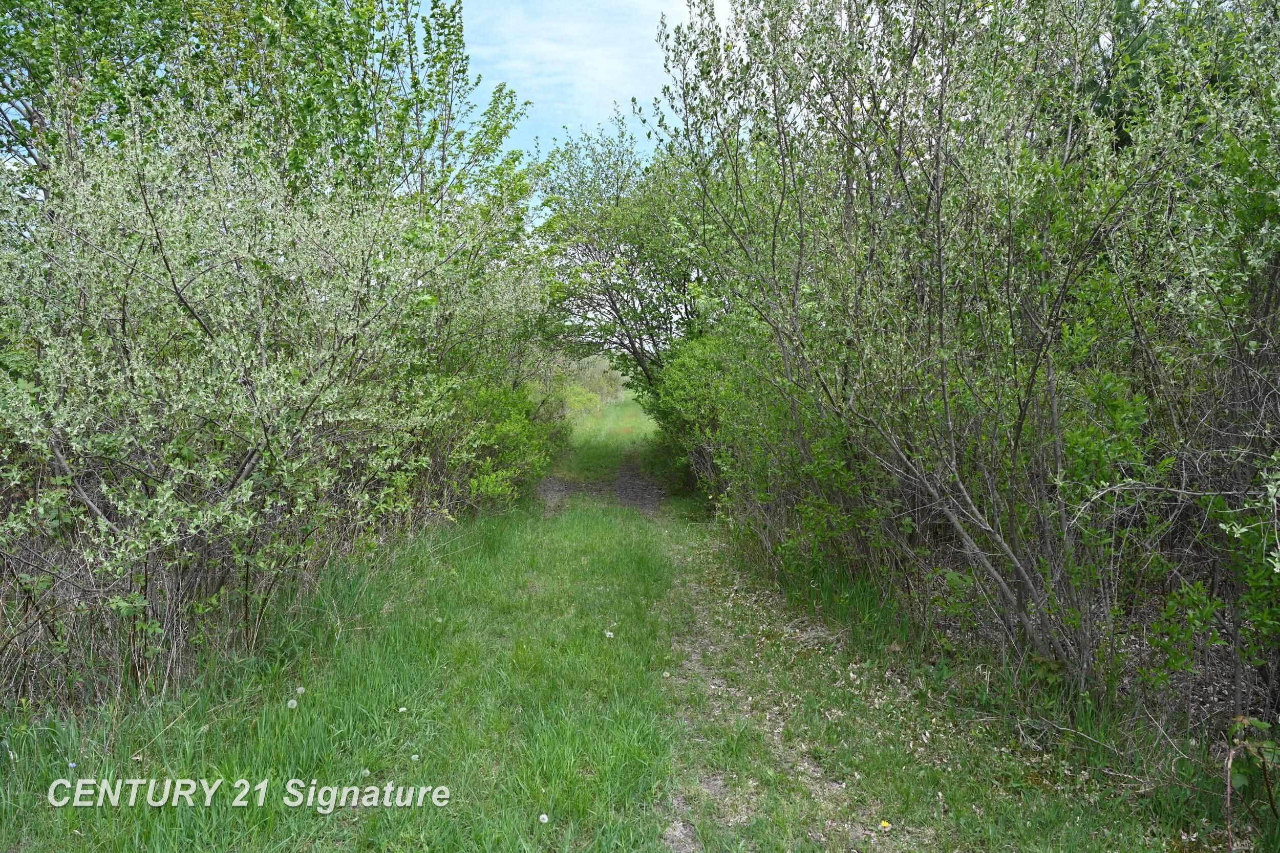 150 E Winegars Road, Gladwin, MI 48624 — Photo 63