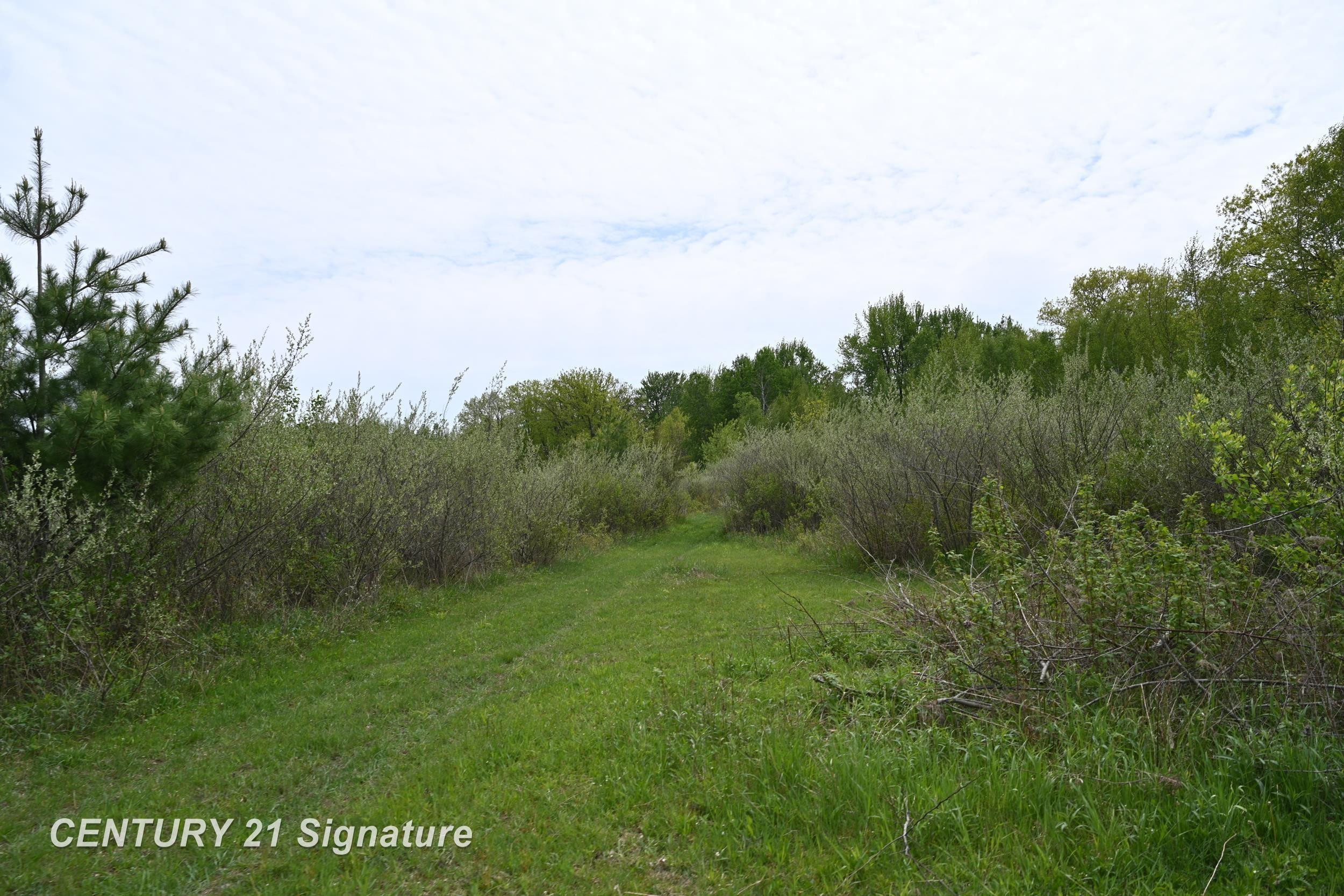 150 E Winegars Road, Gladwin, MI 48624 — Photo 66