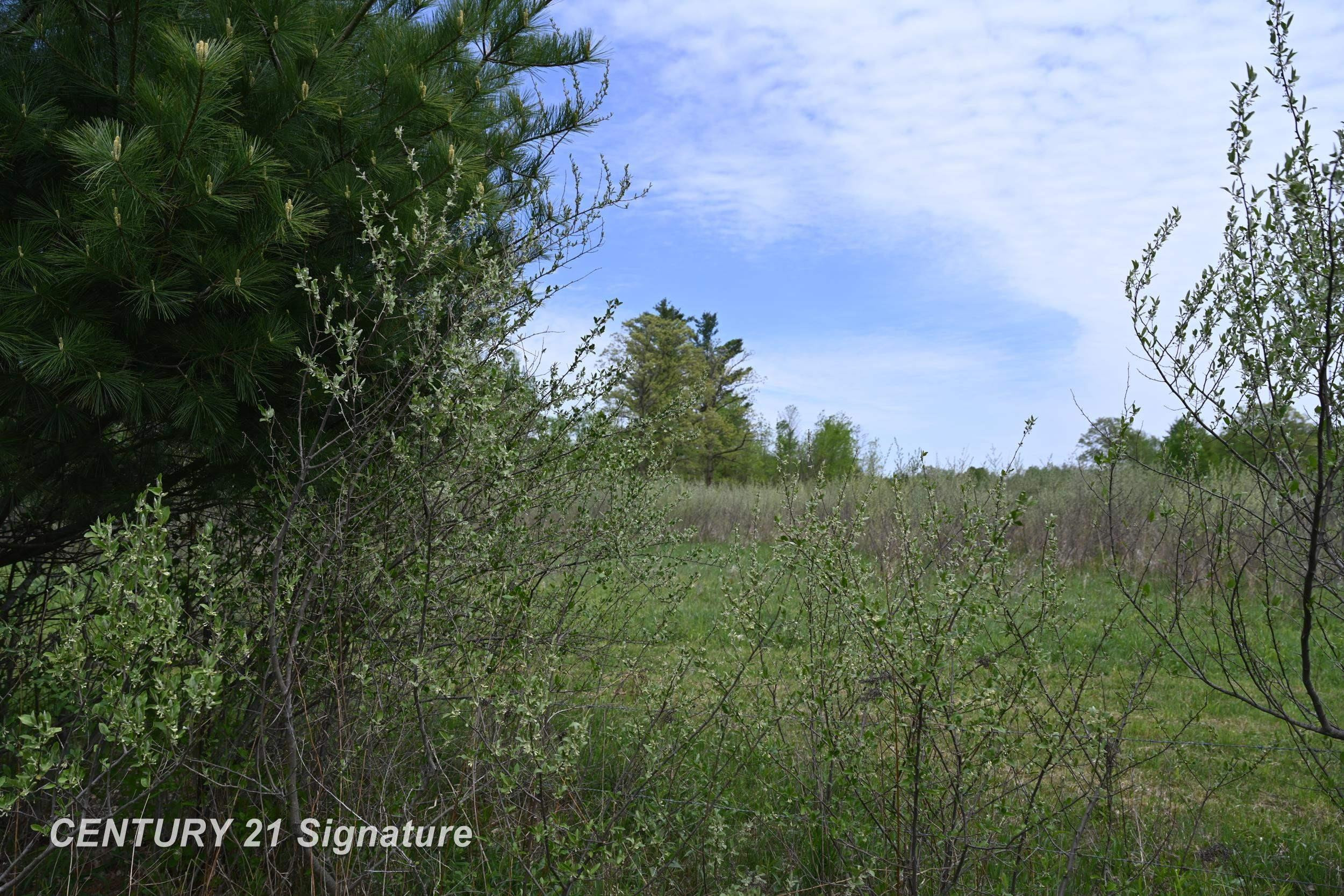 150 E Winegars Road, Gladwin, MI 48624 — Photo 68