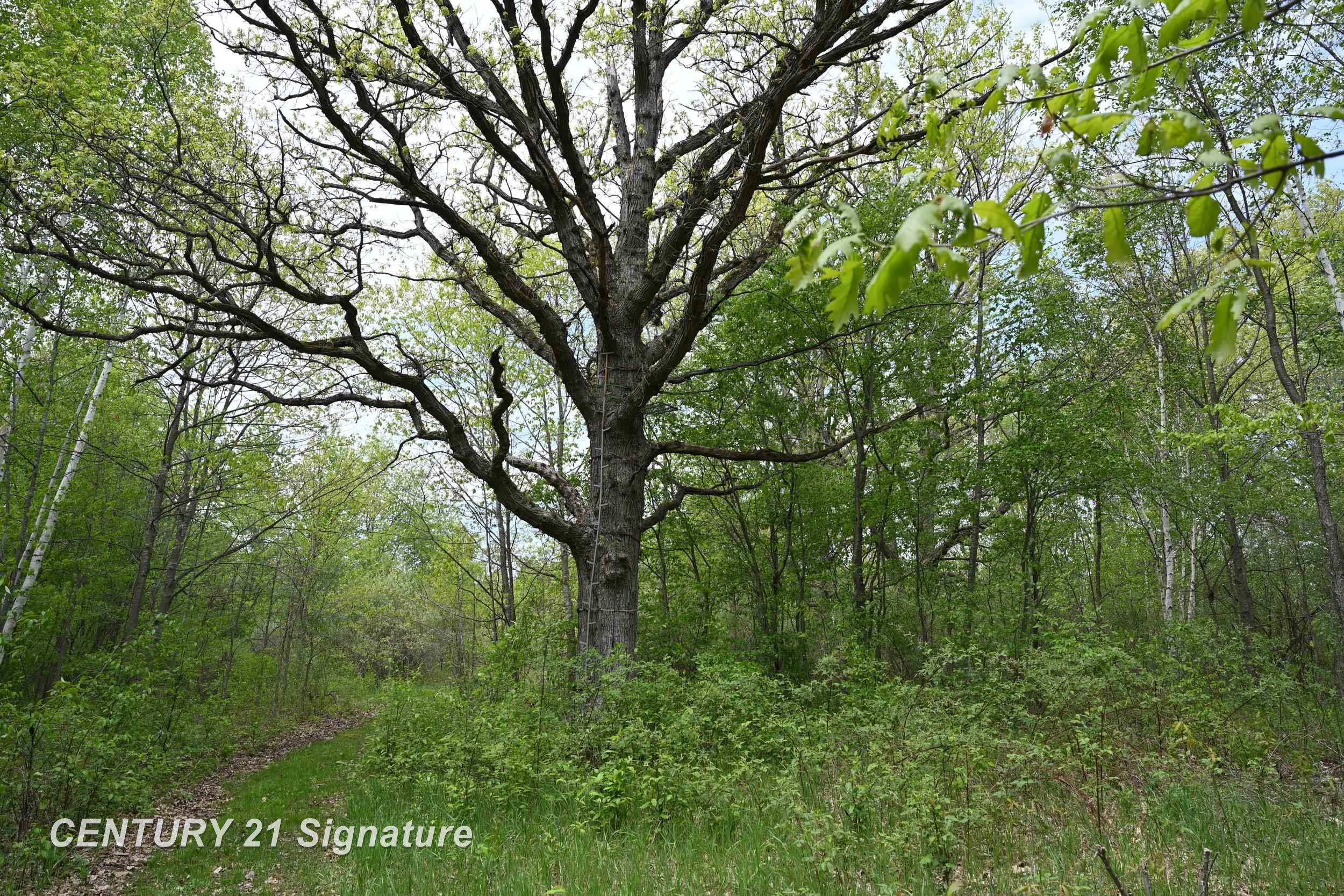 150 E Winegars Road, Gladwin, MI 48624 — Photo 70
