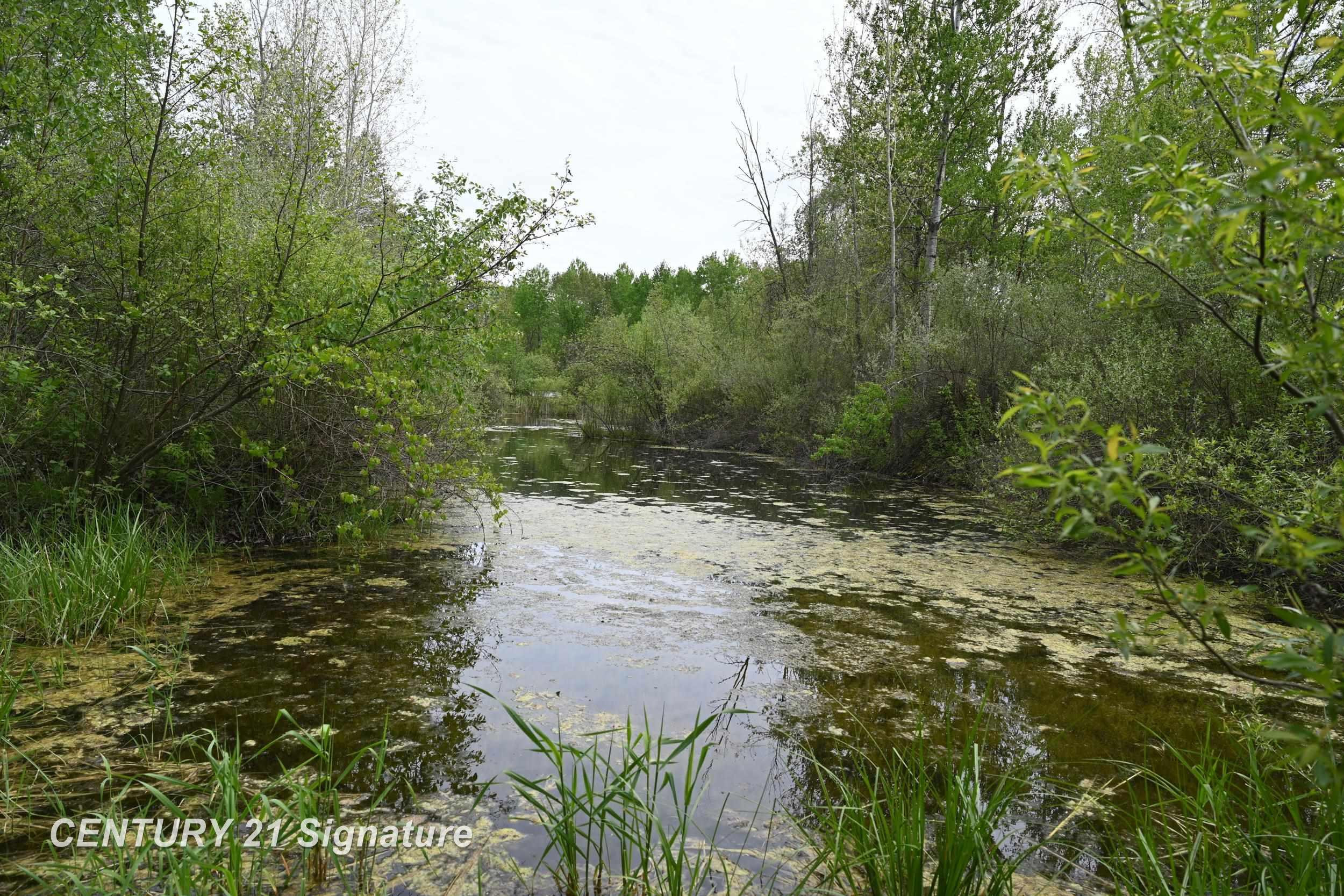 150 E Winegars Road, Gladwin, MI 48624 — Photo 73