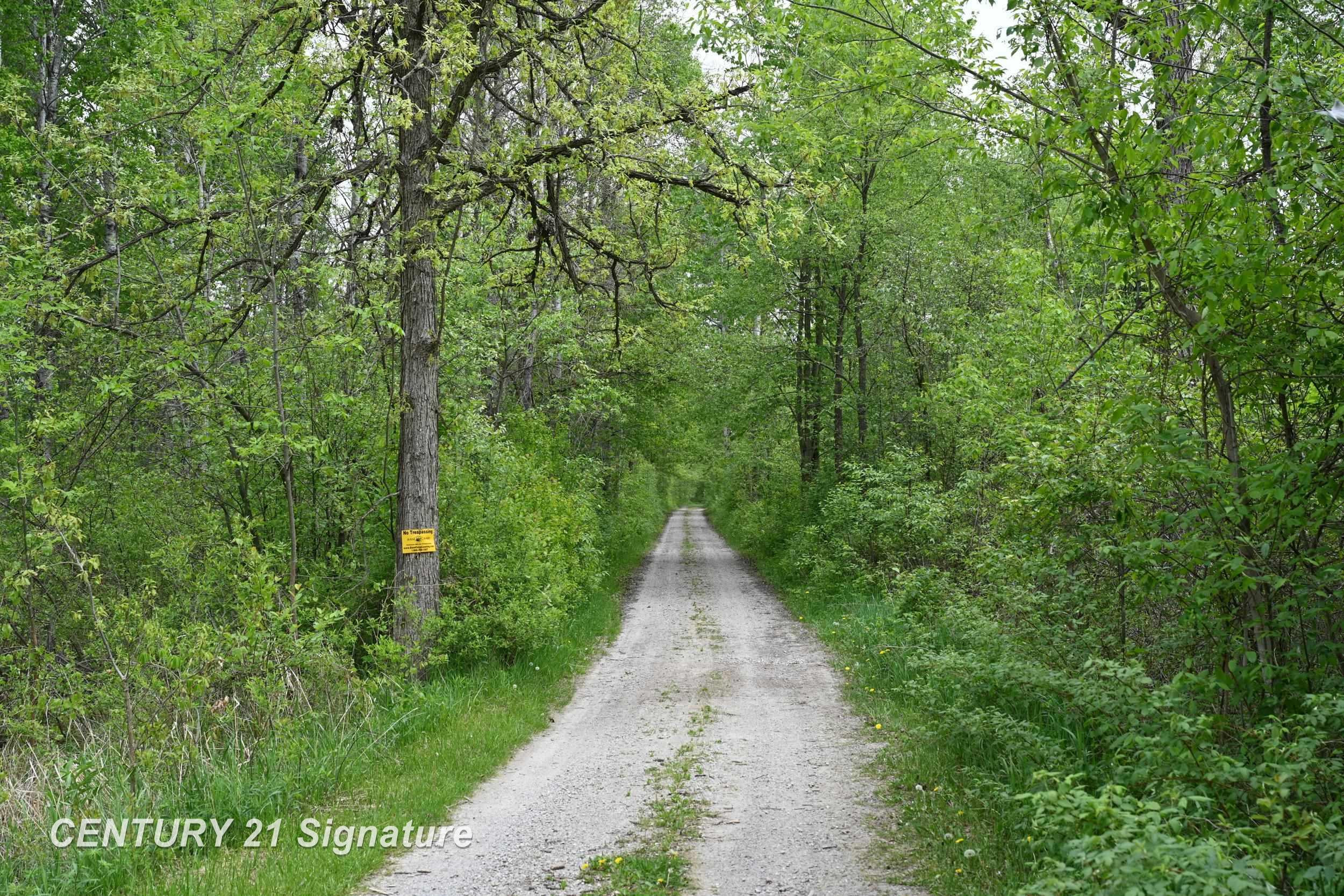 150 E Winegars Road, Gladwin, MI 48624 — Photo 74