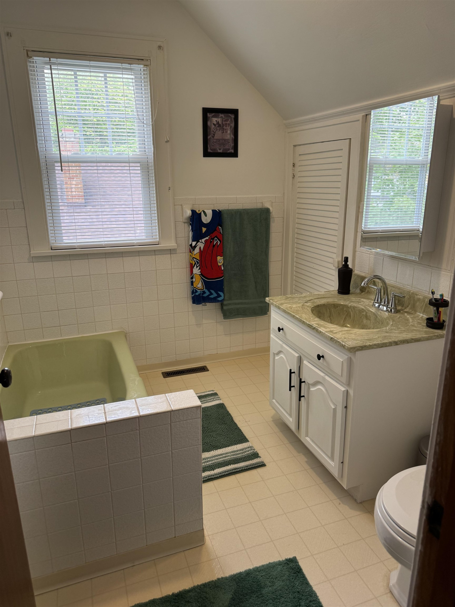 300 Brady Street, Chesaning, MI 48616 — Photo 25