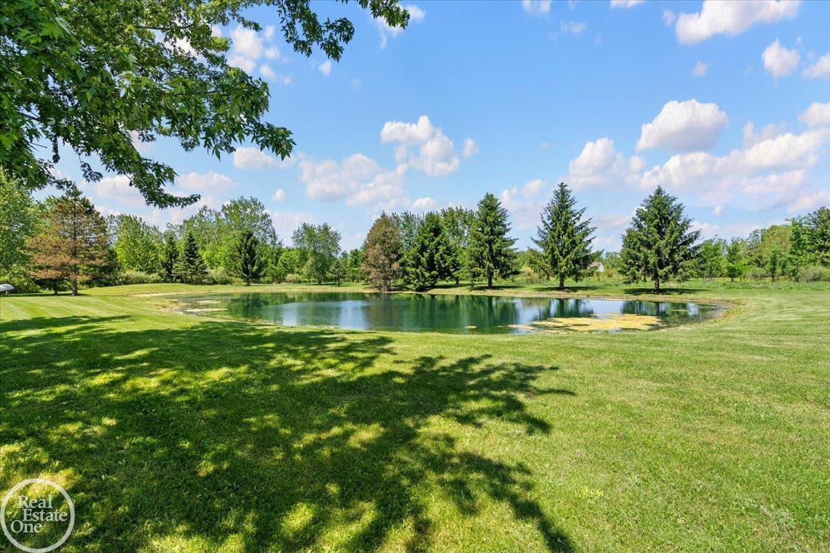 93 Brown City Road, Imlay City, MI 48444 — Photo 40