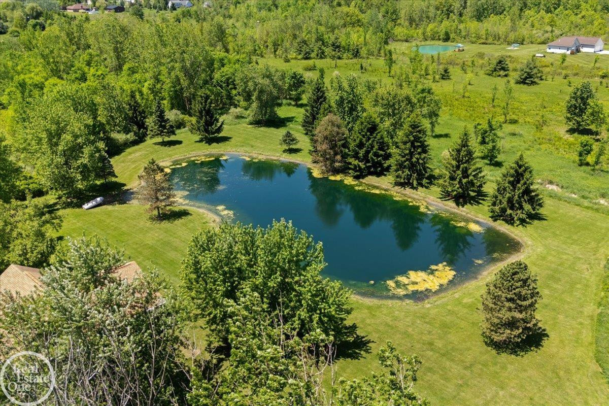 93 Brown City Road, Imlay City, MI 48444 — Photo 43