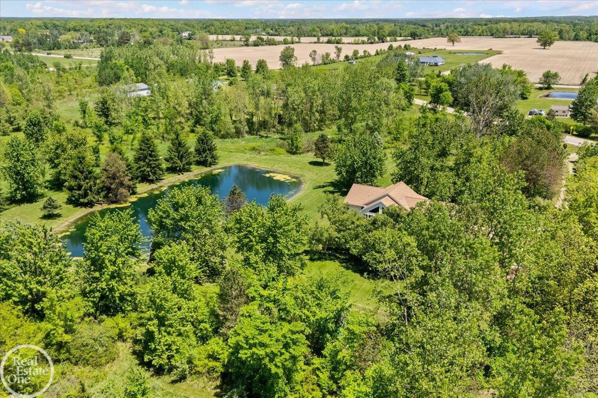 93 Brown City Road, Imlay City, MI 48444 — Photo 44