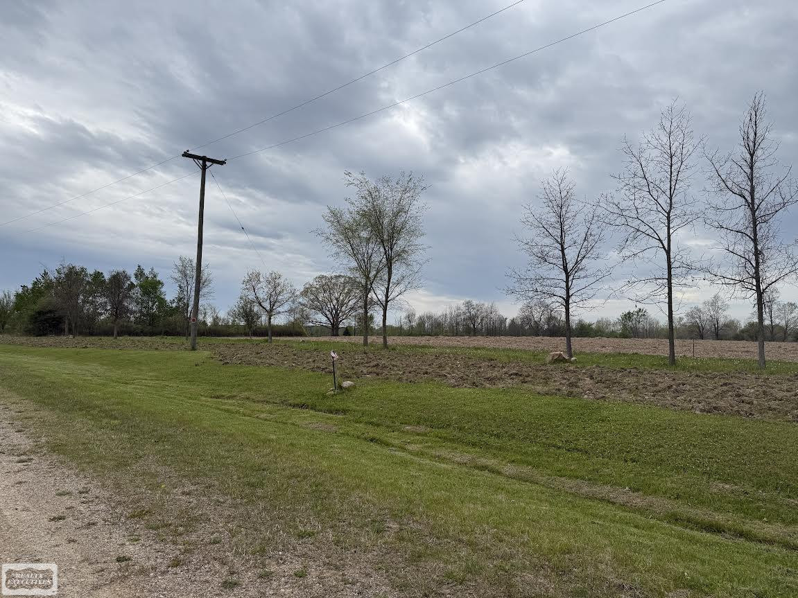 610 Windmill Lane, Imlay City, MI 48444 — Photo 2