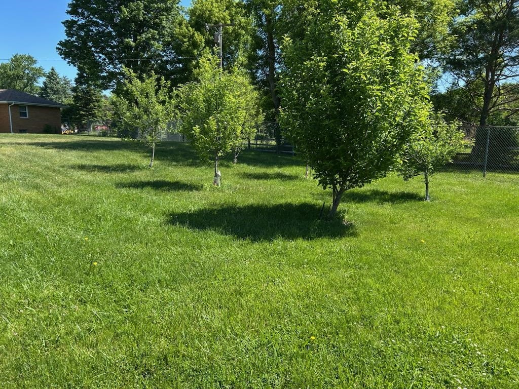10900 Lansing Road, Durand, MI 48429 — Photo 41