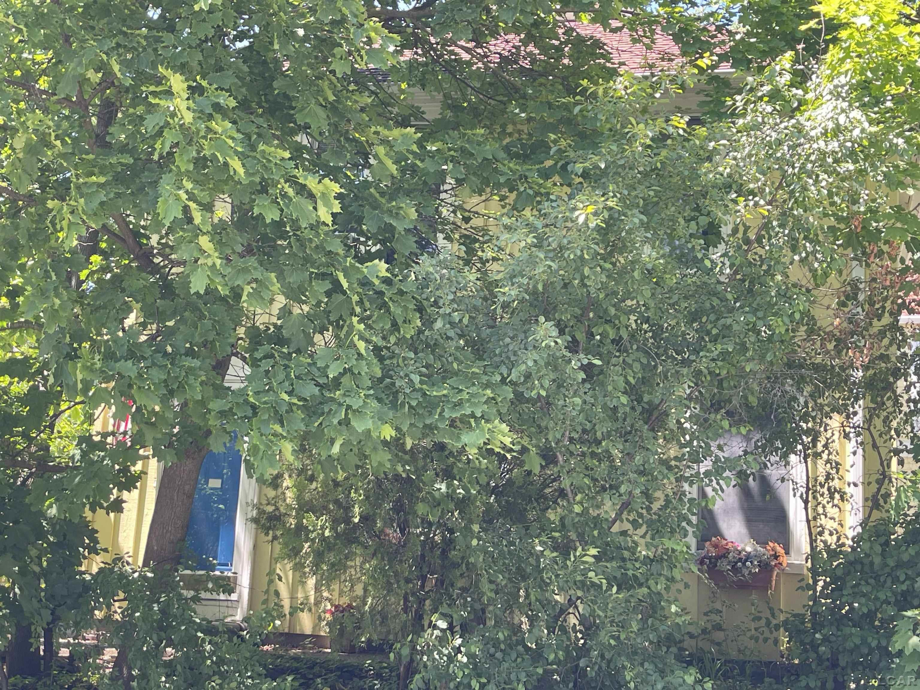 808 Mary Street - Photo 4