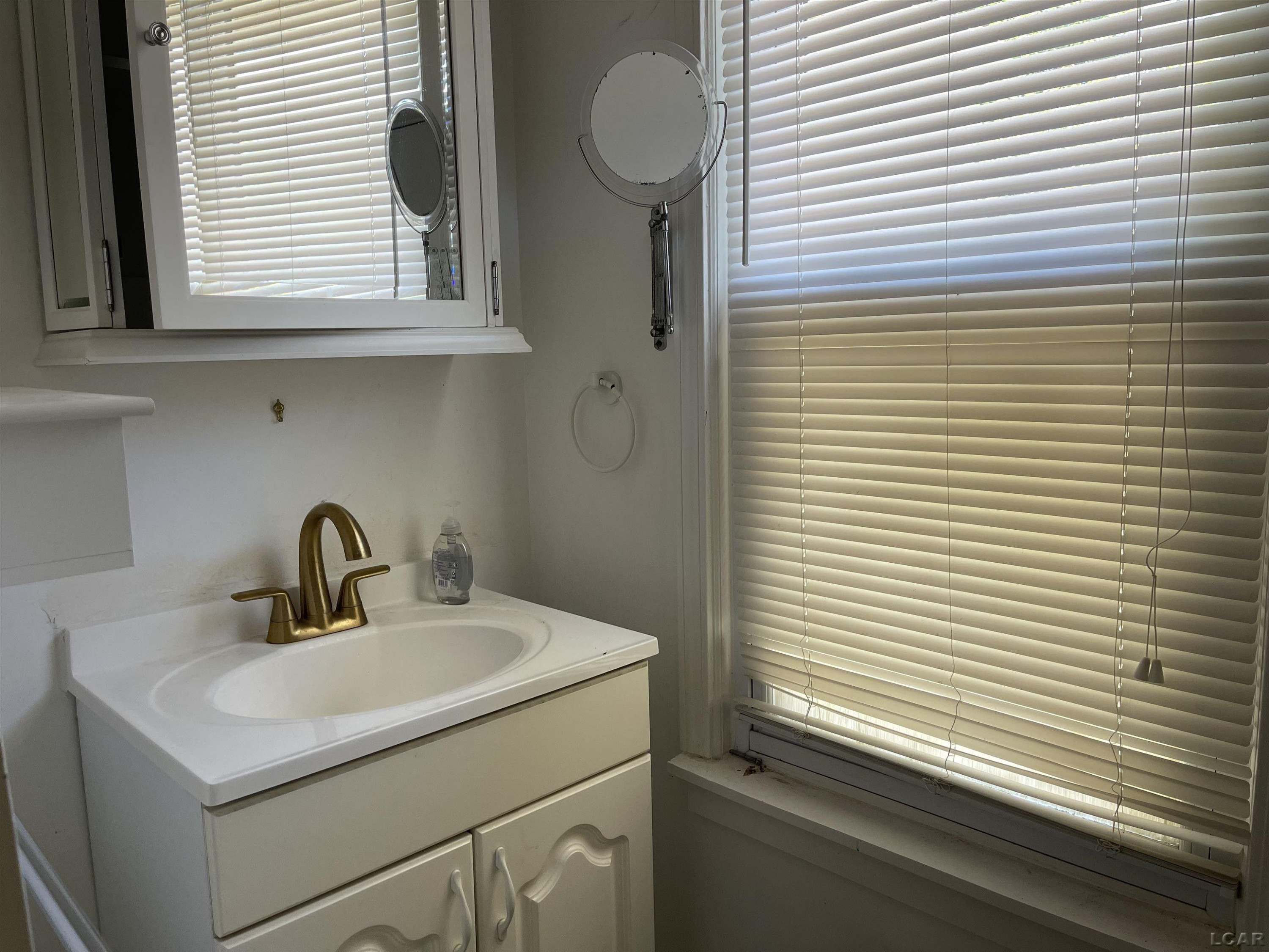 808 Mary Street, Ann Arbor, MI 48104 — Photo 13