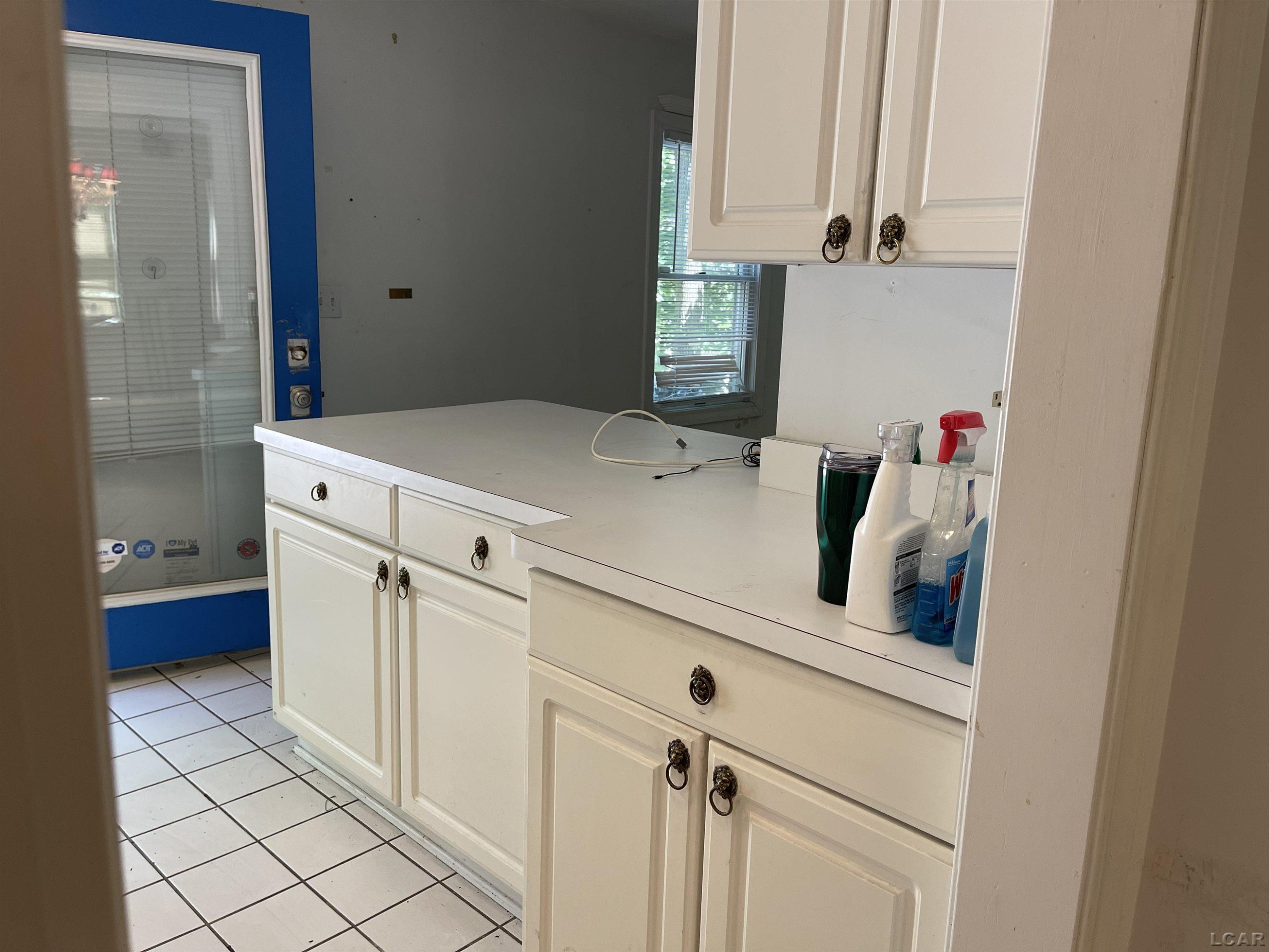 808 Mary Street, Ann Arbor, MI 48104 — Photo 35