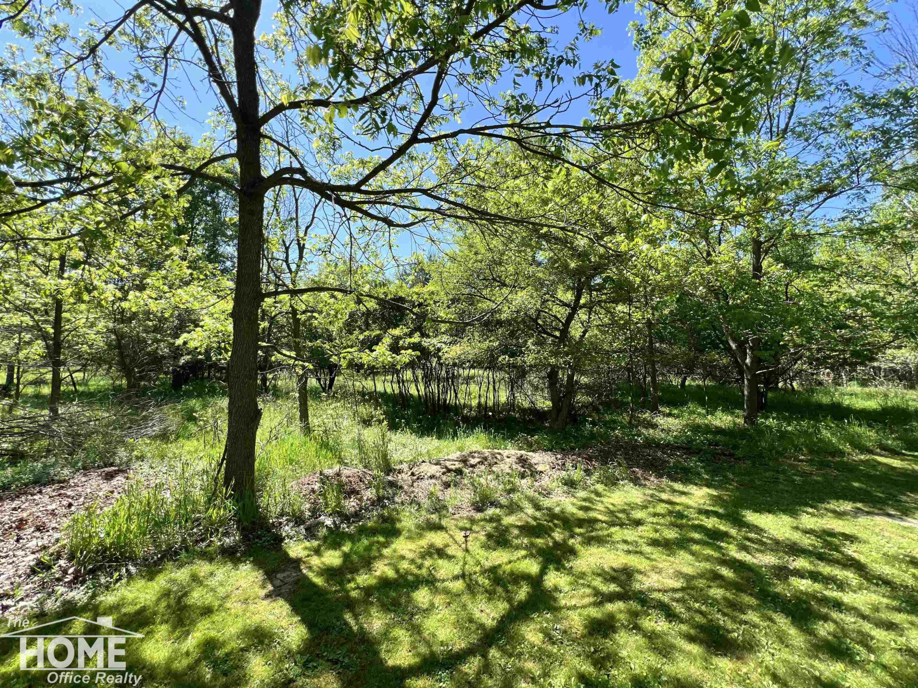 1029 Center Street, Owosso, MI 48867 — Photo 52