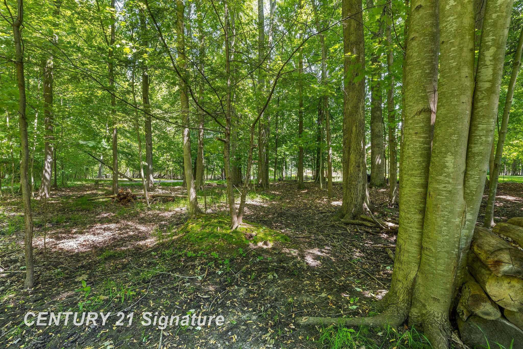 8201 Moll Lane, Freeland, MI 48623 — Photo 47