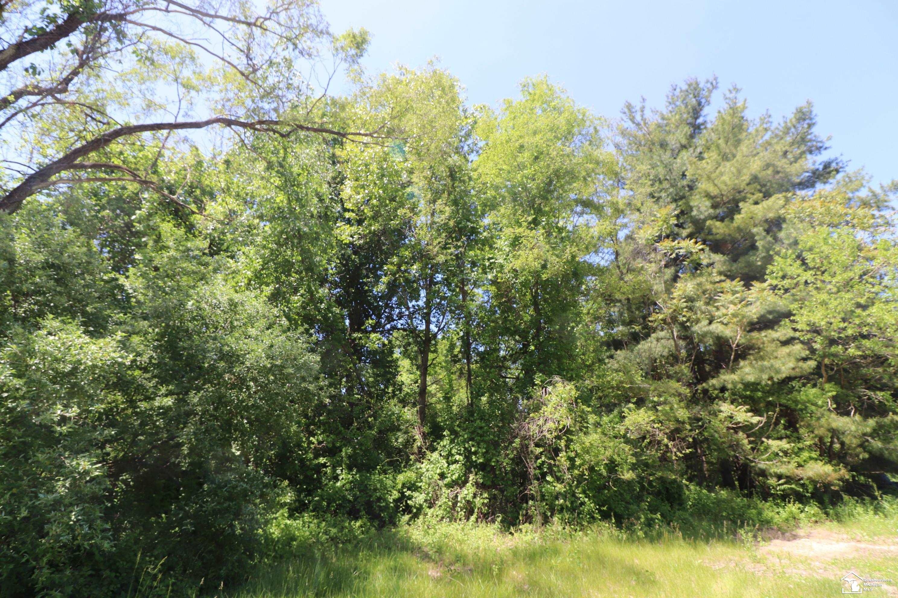 2630 W Temperance Road, Temperance, MI 48182 — Photo 2