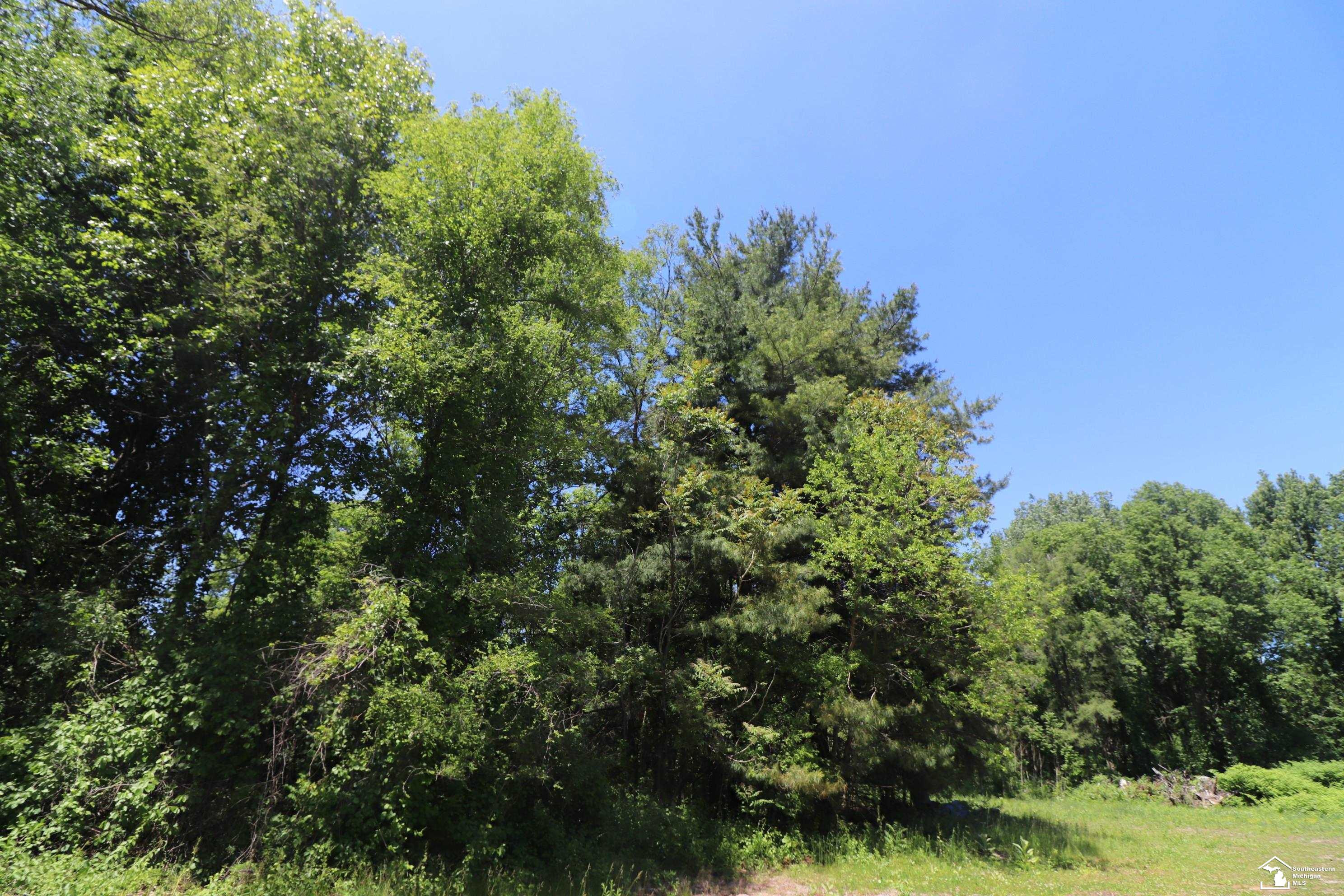 2630 W Temperance Road, Temperance, MI 48182 — Photo 3