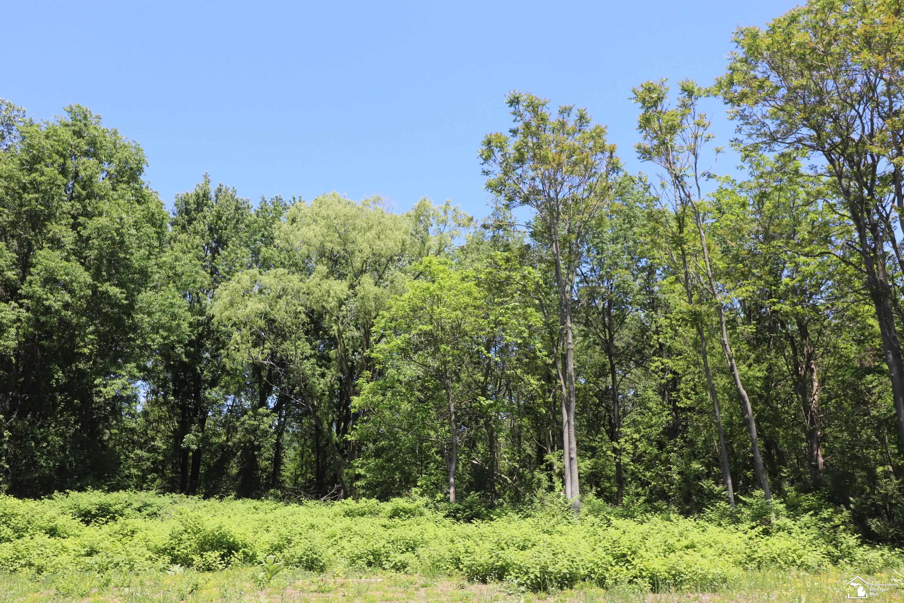 2630 W Temperance Road, Temperance, MI 48182 — Photo 4