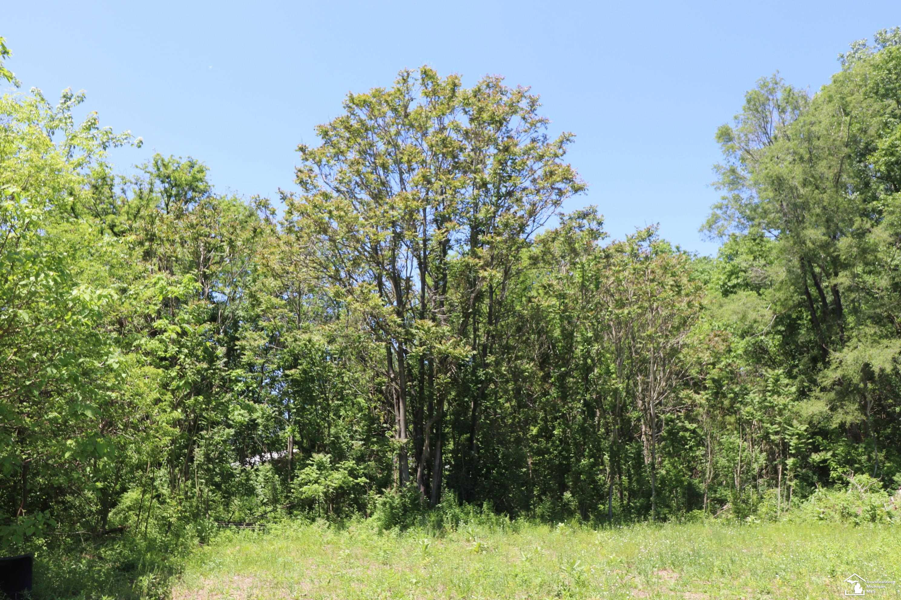 2630 W Temperance Road, Temperance, MI 48182 — Photo 5