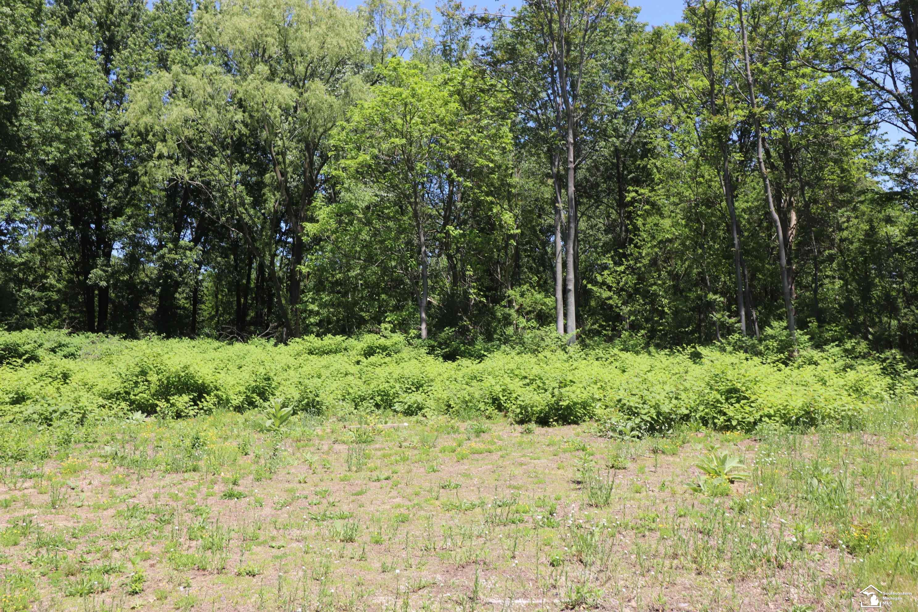 2630 W Temperance Road, Temperance, MI 48182 — Photo 6