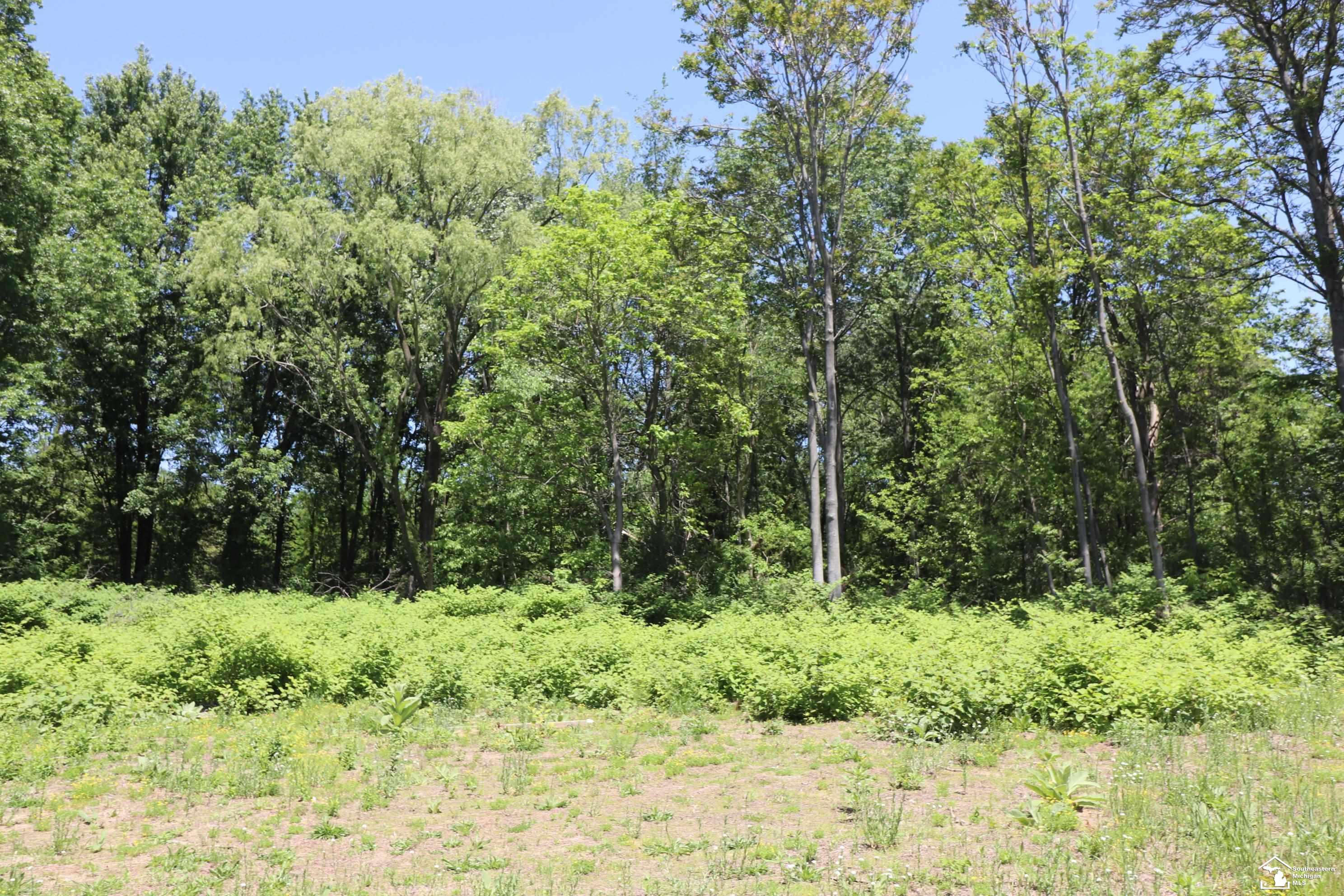 2630 W Temperance Road, Temperance, MI 48182 — Photo 7