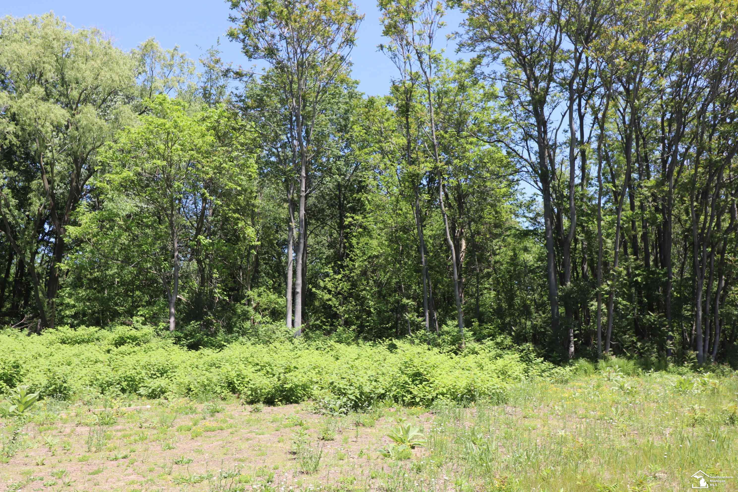 2630 W Temperance Road, Temperance, MI 48182 — Photo 8