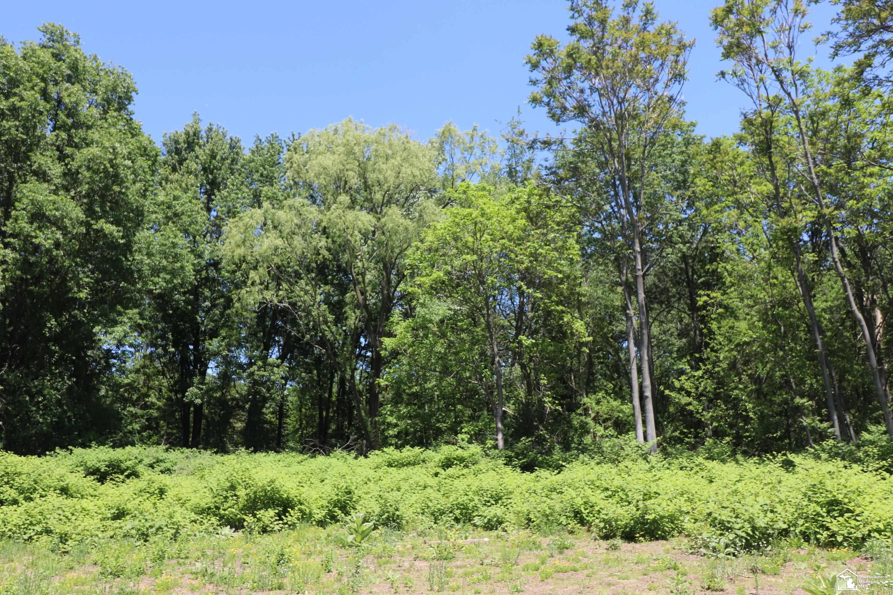 2630 W Temperance Road, Temperance, MI 48182 — Photo 9