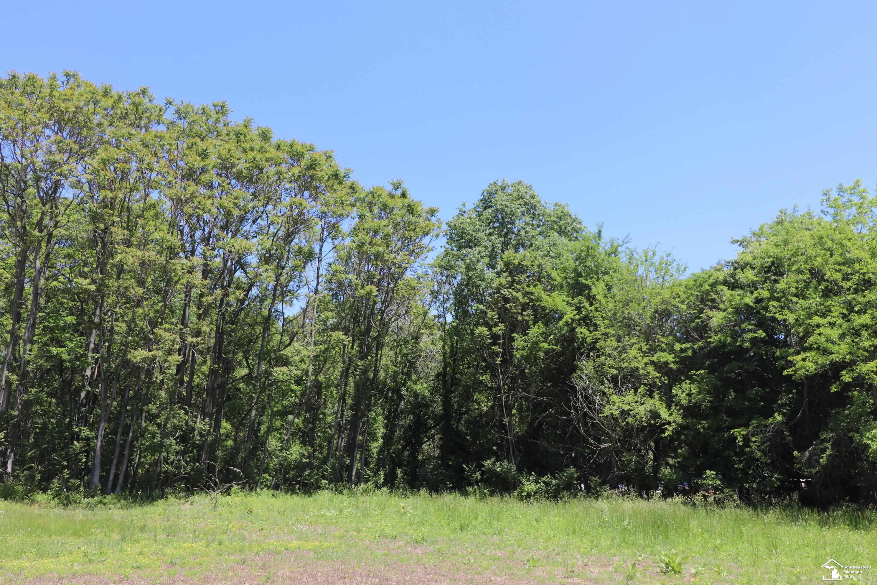 2630 W Temperance Road, Temperance, MI 48182 — Photo 10