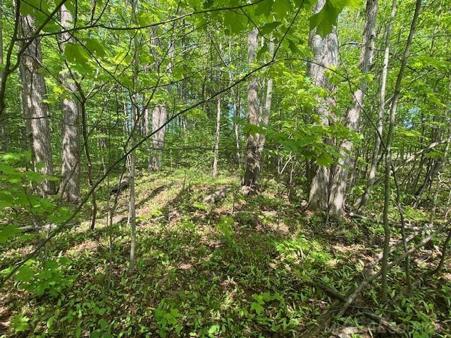 7483 NE Twin lake Road, Mancelona, MI 49659 — Photo 37