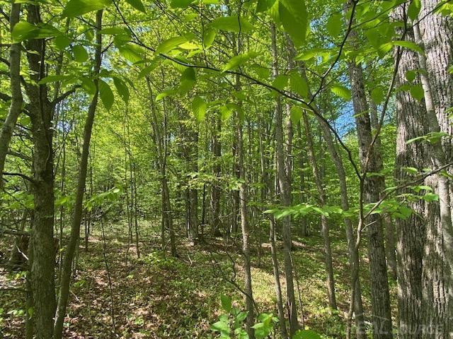 7483 NE Twin lake Road, Mancelona, MI 49659 — Photo 38