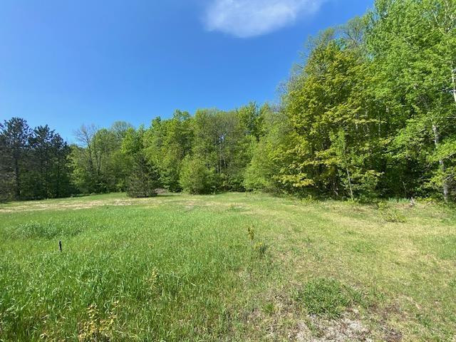 7483 NE Twin lake Road, Mancelona, MI 49659 — Photo 39