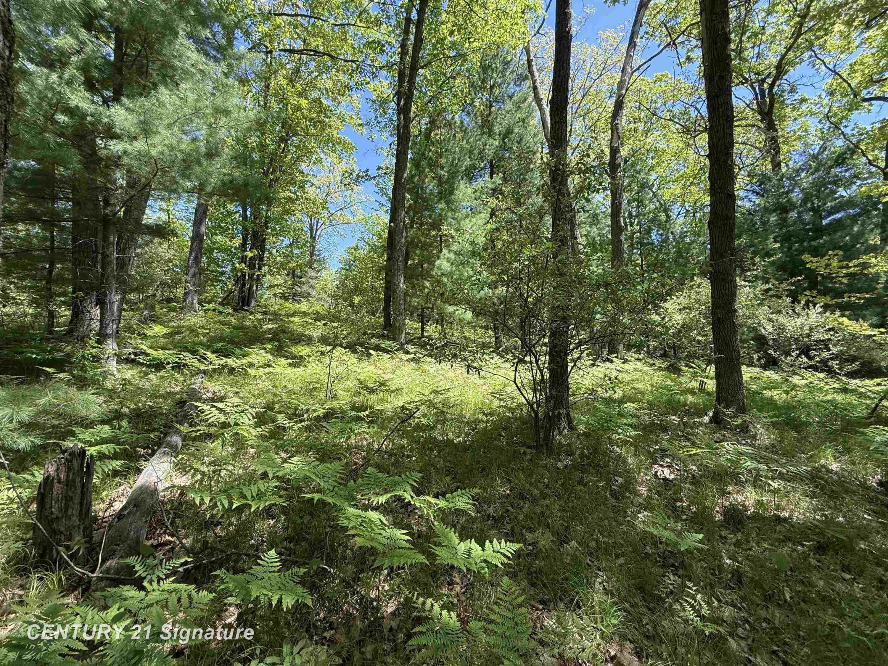 981 E Cranberry Lake Road, Harrison, MI 48625 — front exterior