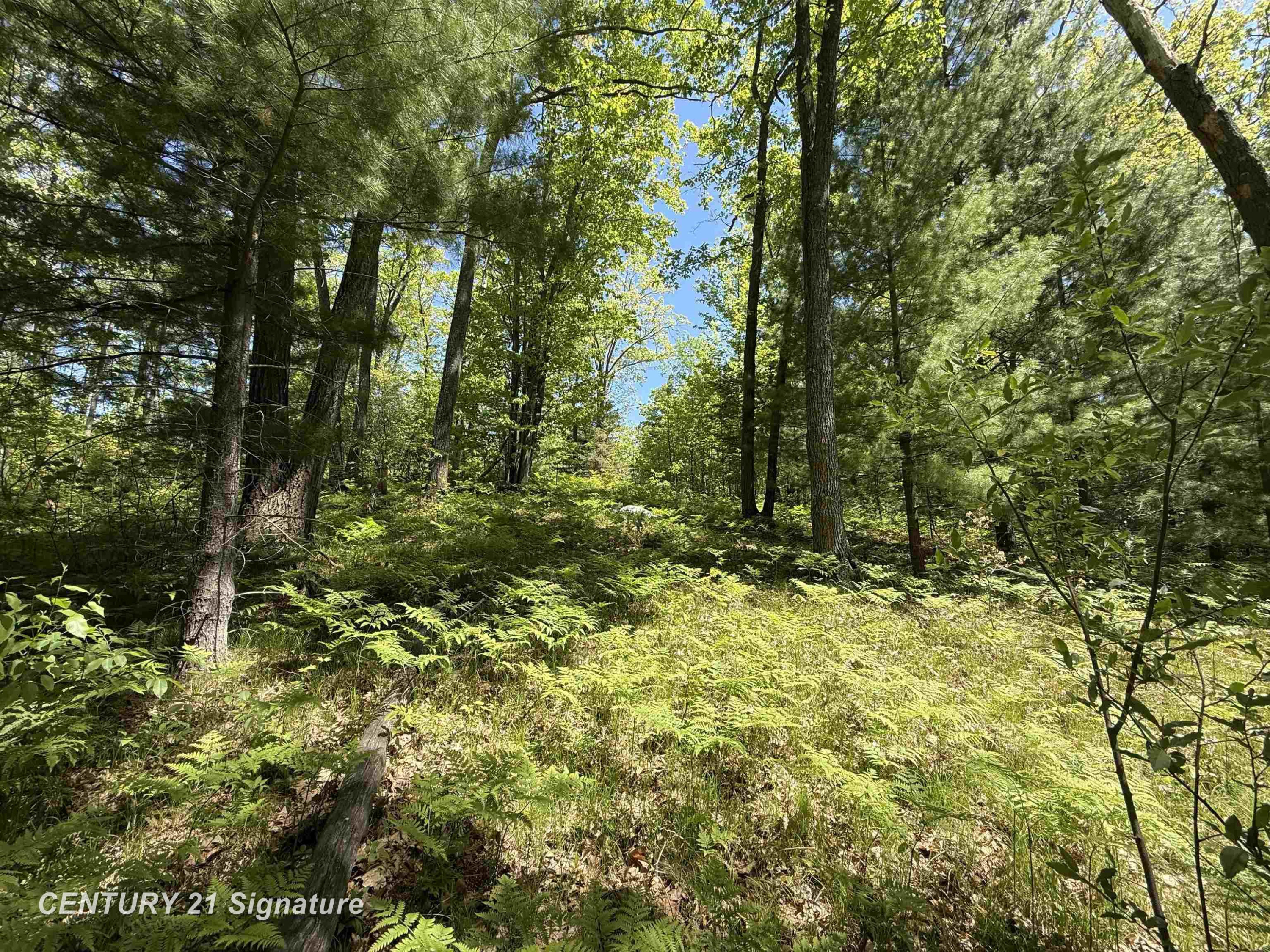 981 E Cranberry Lake Road, Harrison, MI 48625 — Photo 2