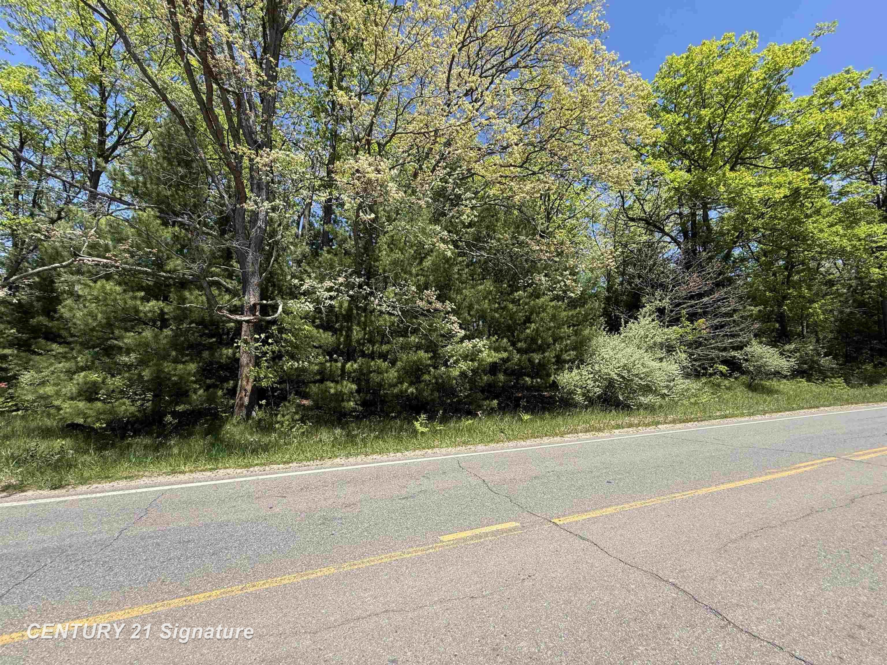 981 E Cranberry Lake Road, Harrison, MI 48625 — Photo 3