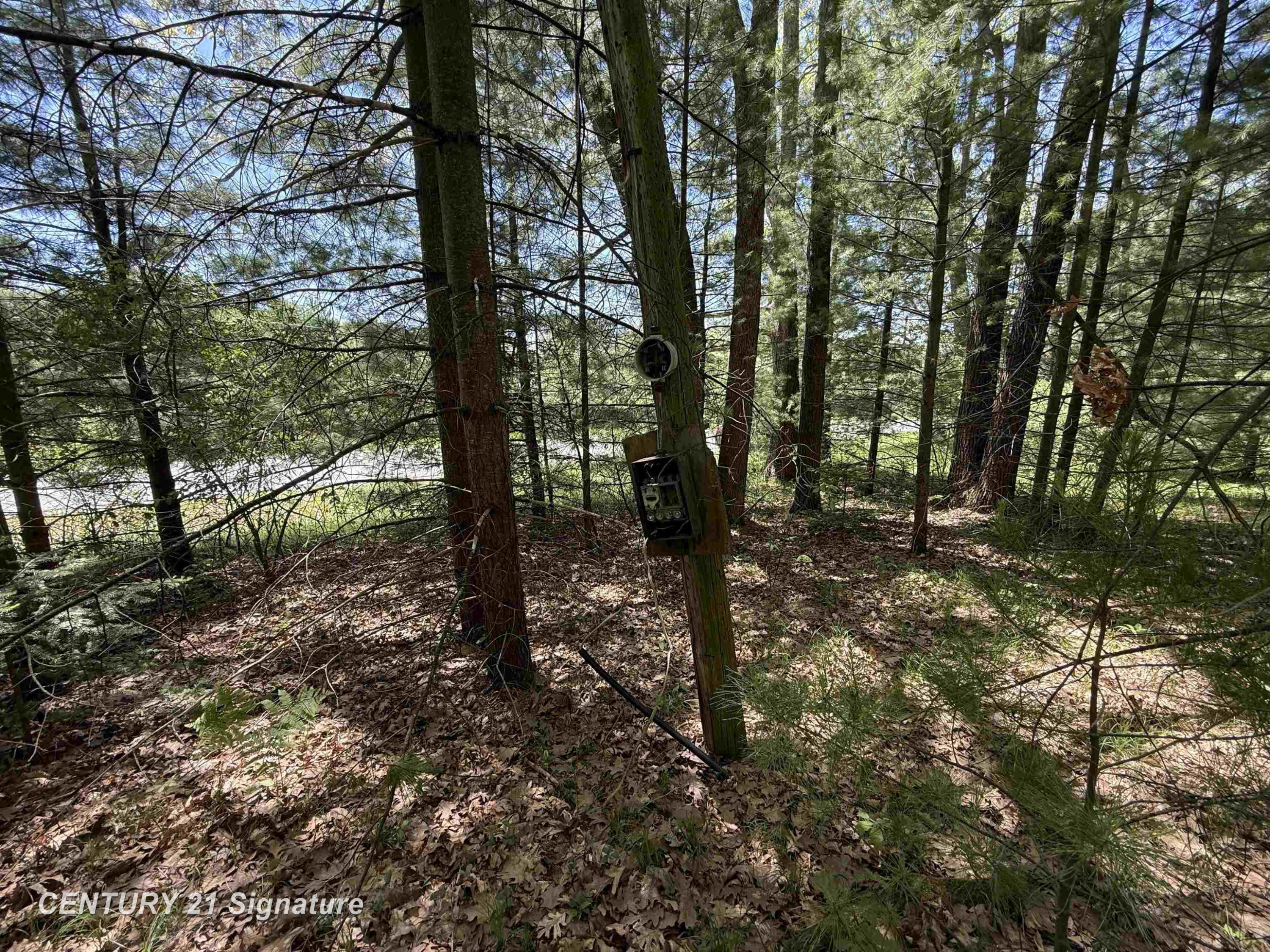 981 E Cranberry Lake Road, Harrison, MI 48625 — Photo 4