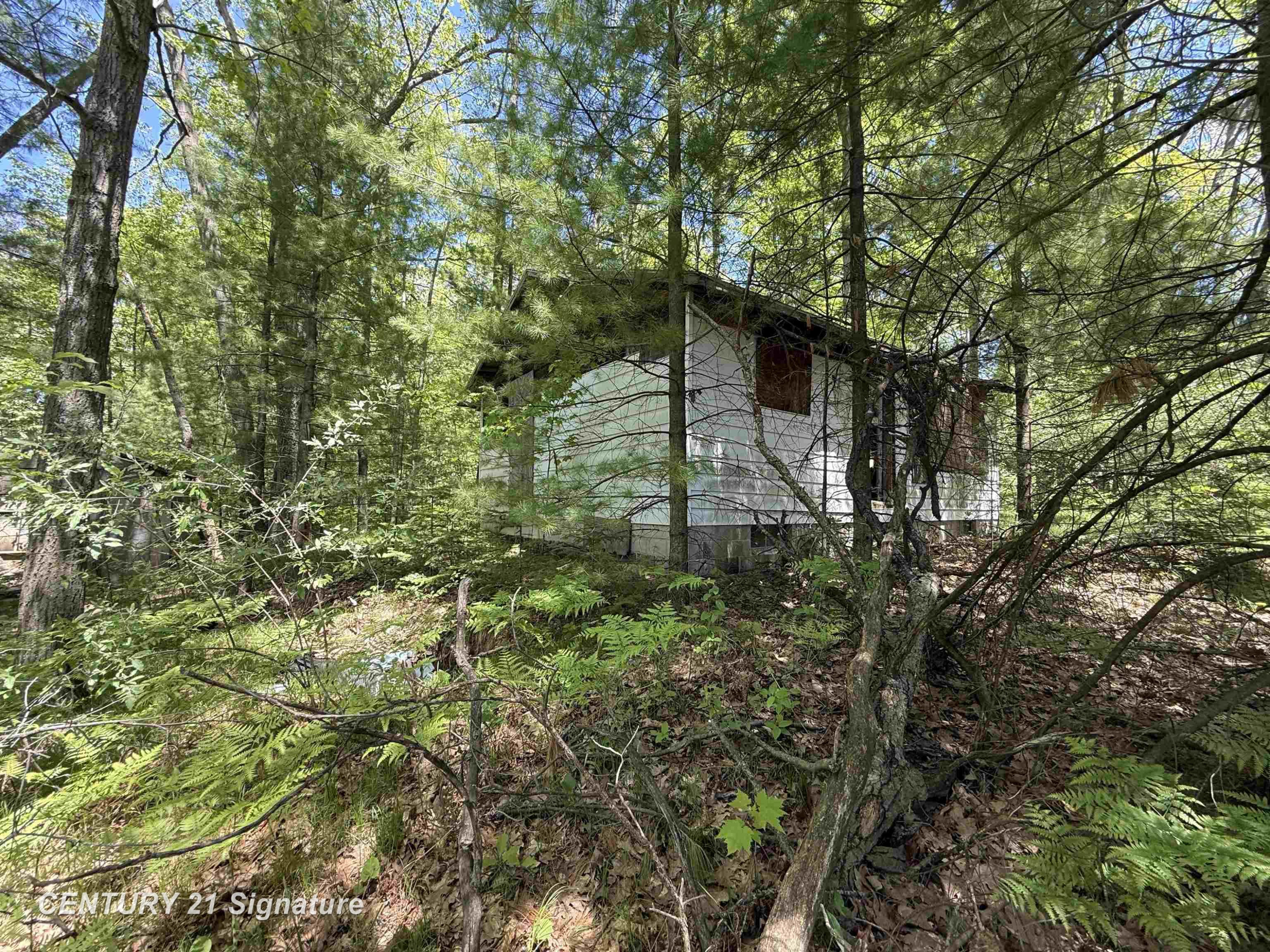 981 E Cranberry Lake Road, Harrison, MI 48625 — Photo 6