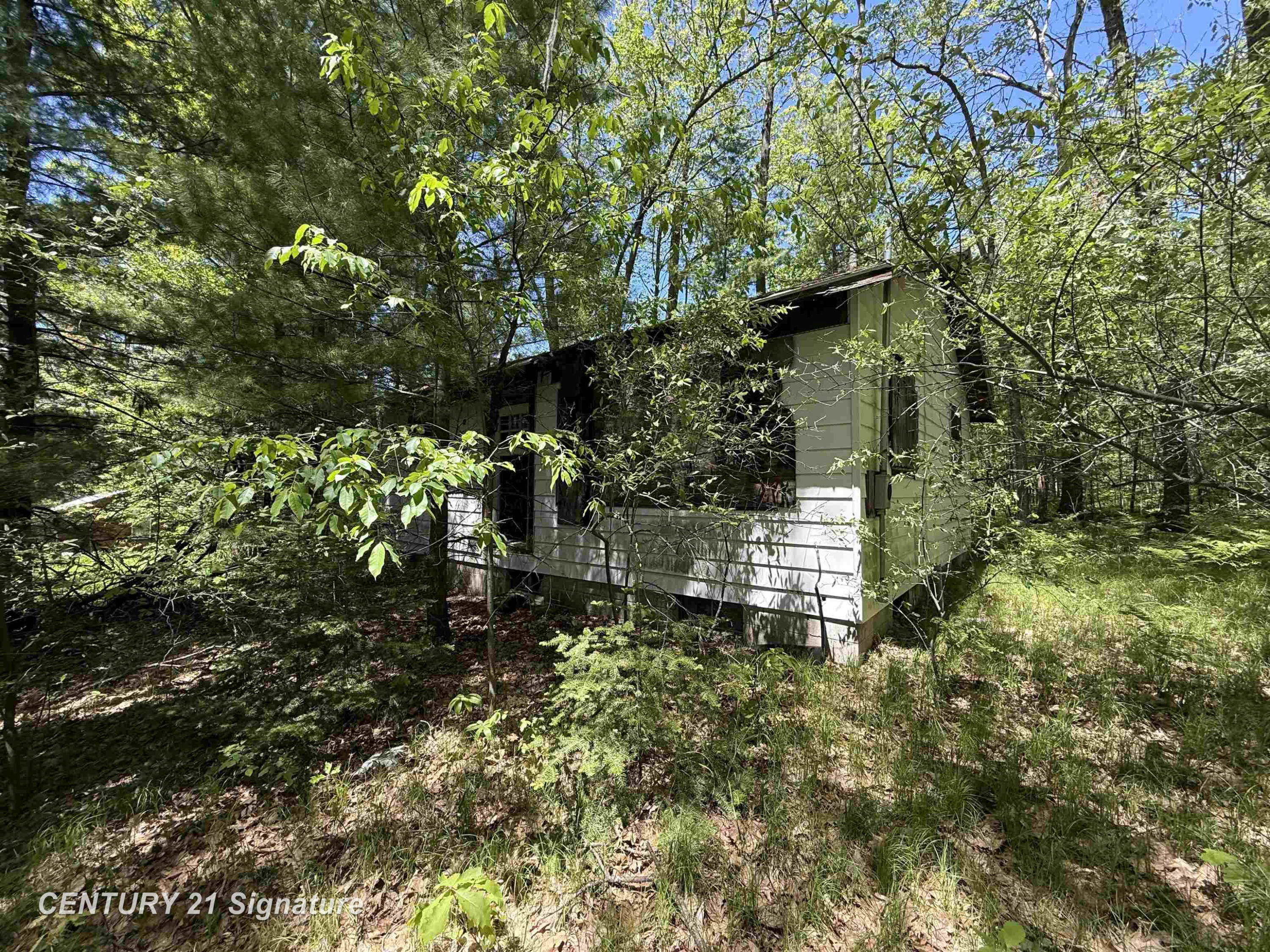 981 E Cranberry Lake Road, Harrison, MI 48625 — Photo 9
