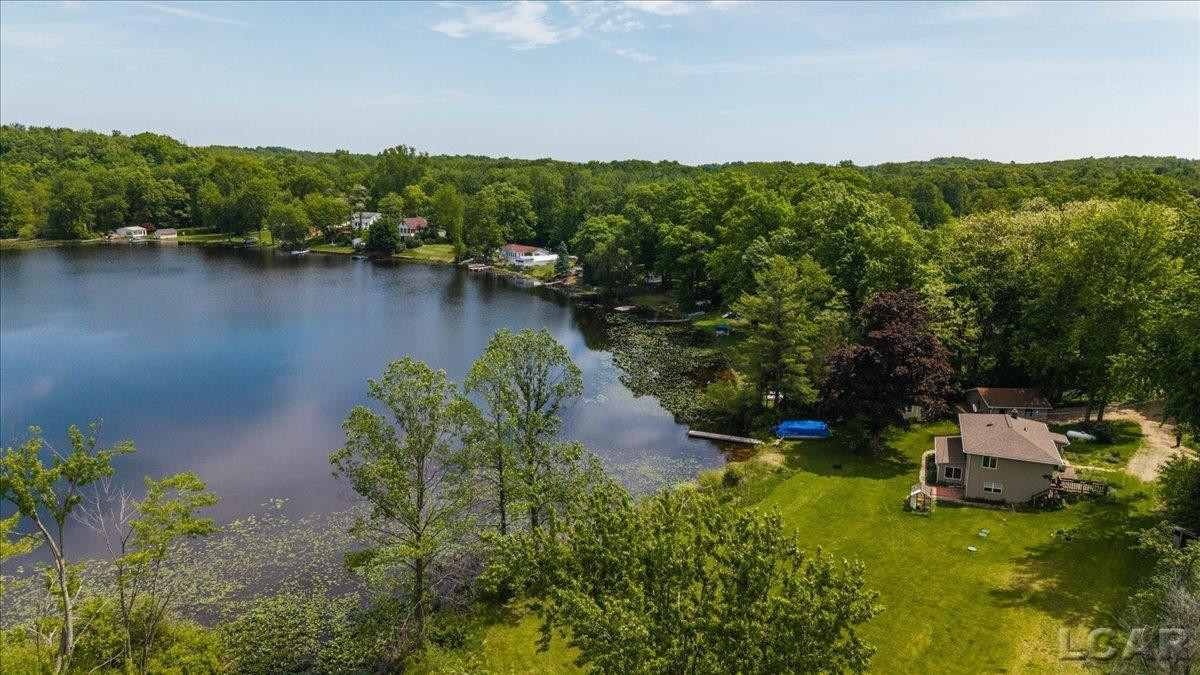 1400 Lakeview Drive, Tipton, MI 49287 — Photo 3