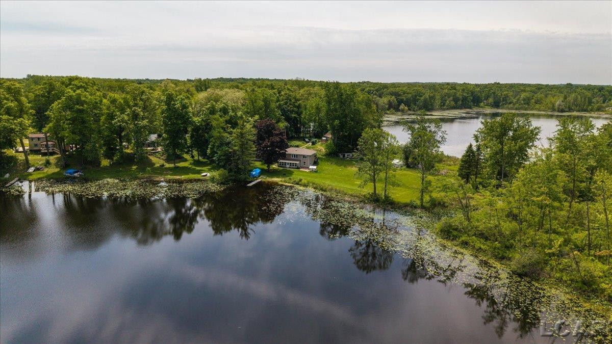 1400 Lakeview Drive, Tipton, MI 49287 — Photo 40