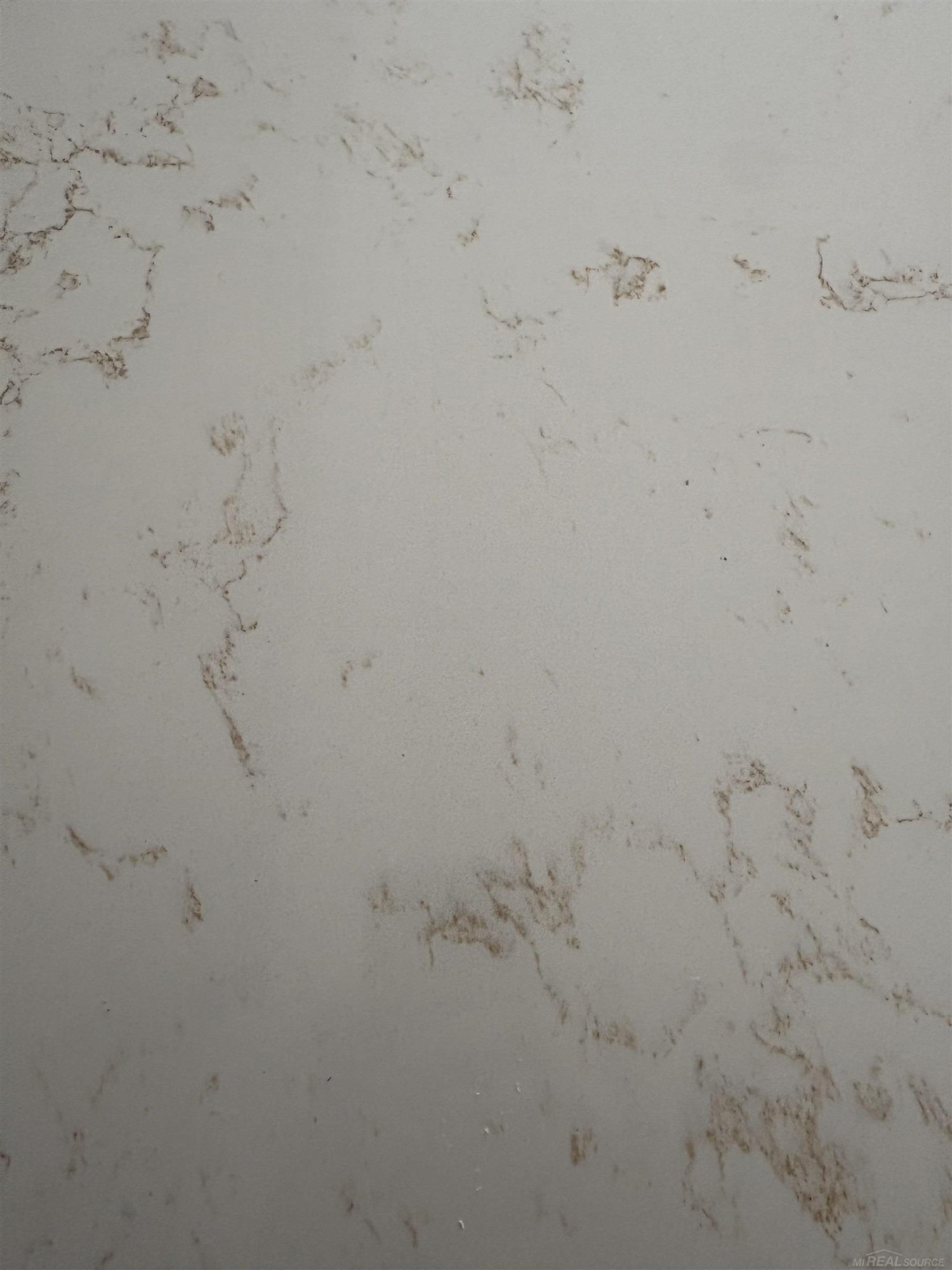 10505 Excalibur Drive, Shelby Twp, MI 48315 — Photo 10