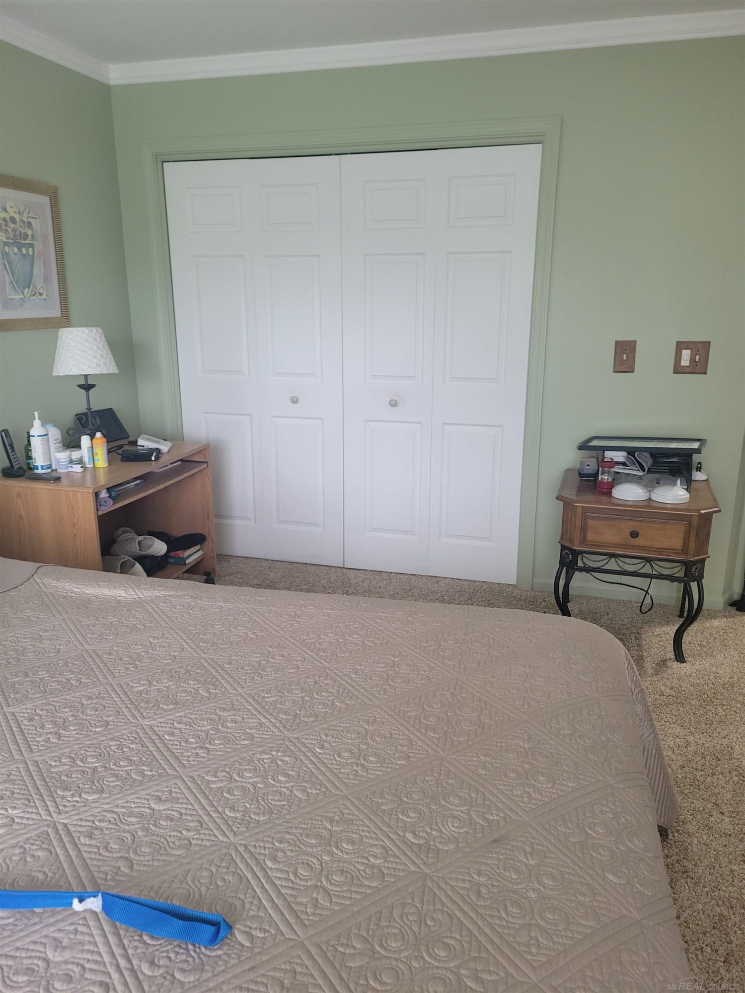 6249 Wolverine Trail, Alger, MI 48610 — Photo 13