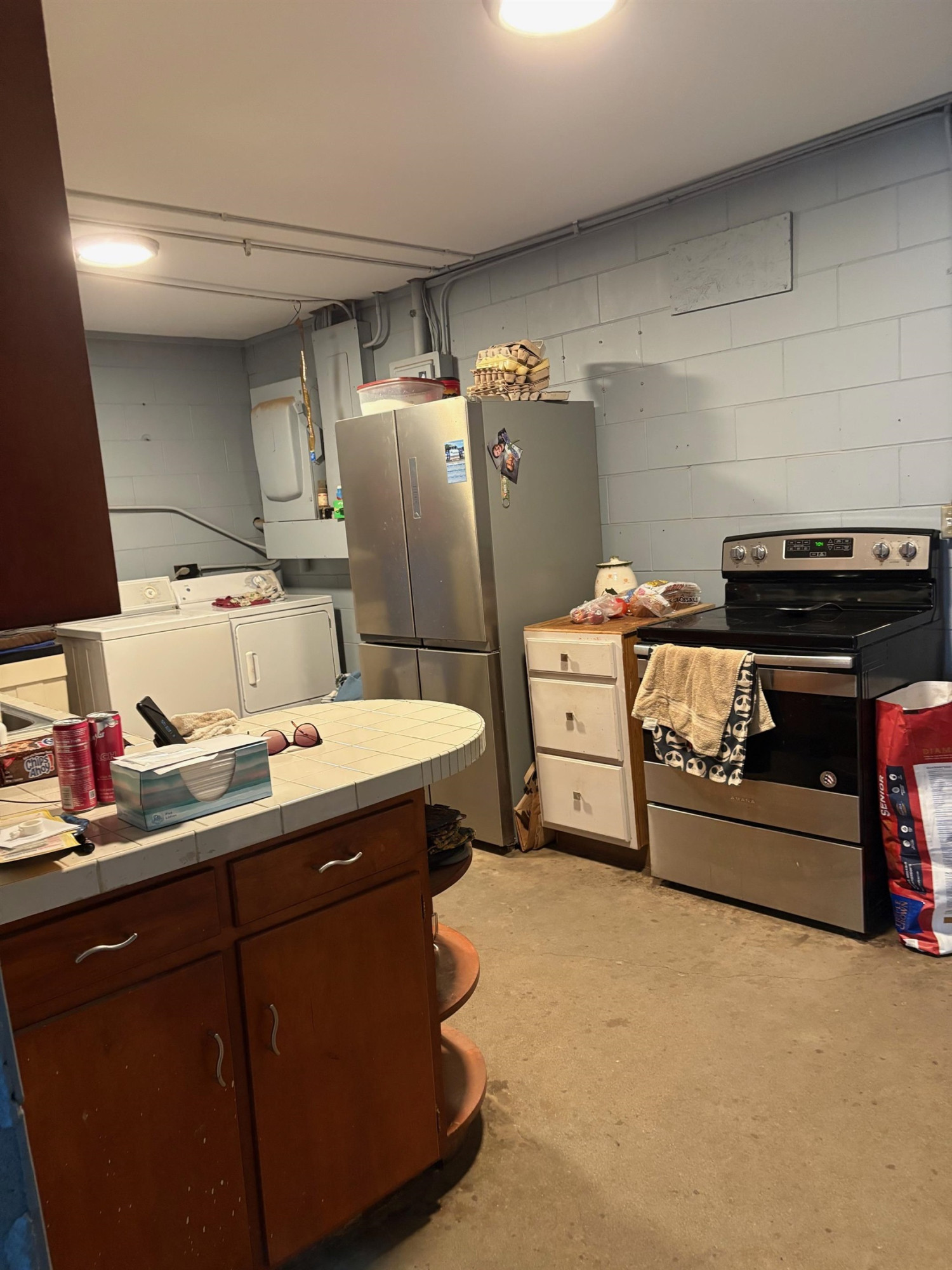 8680 Parks Road, Ovid, MI 48866 — Photo 7