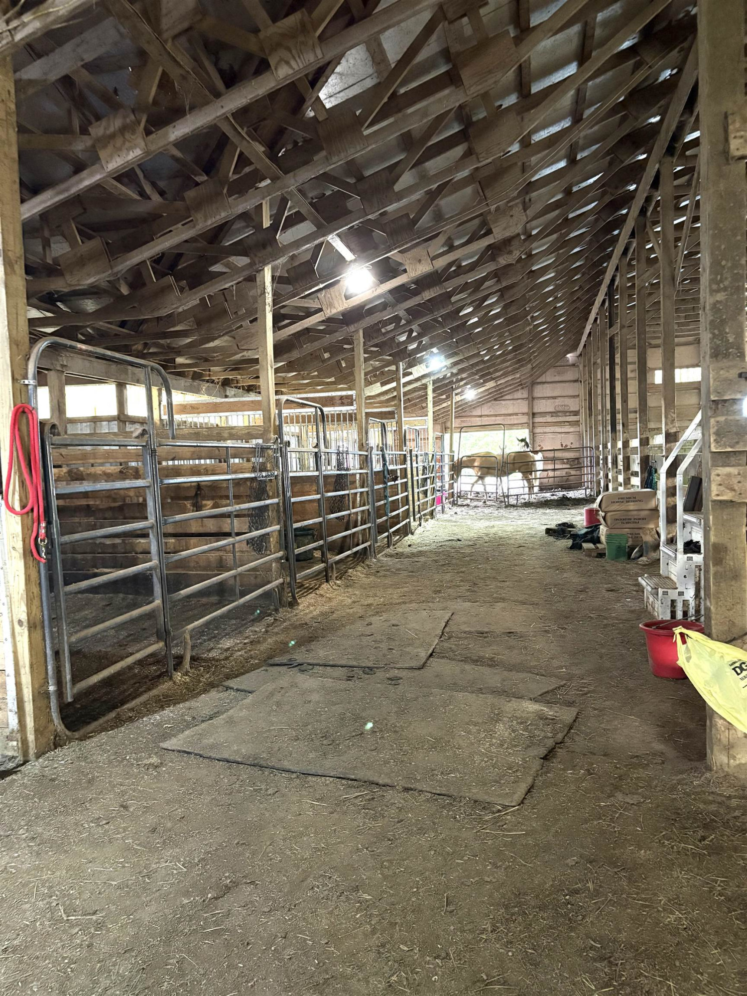 8680 Parks Road, Ovid, MI 48866 — Photo 12