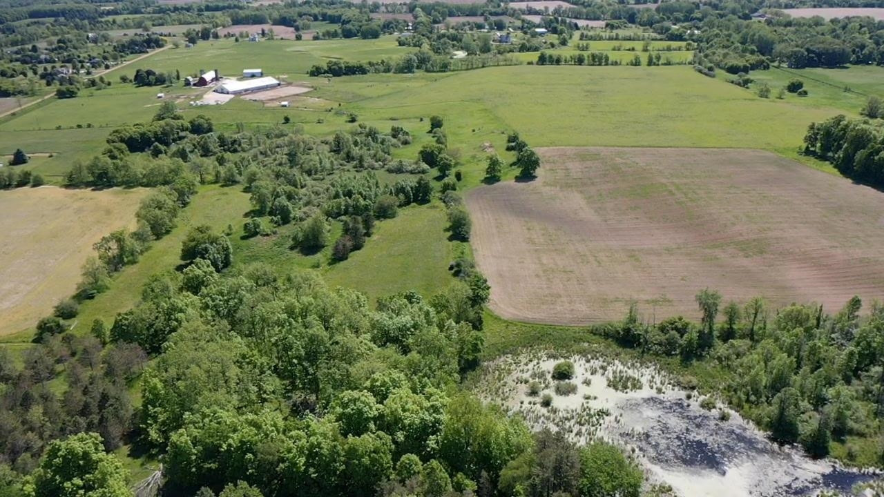 8680 Parks Road, Ovid, MI 48866 — Photo 32